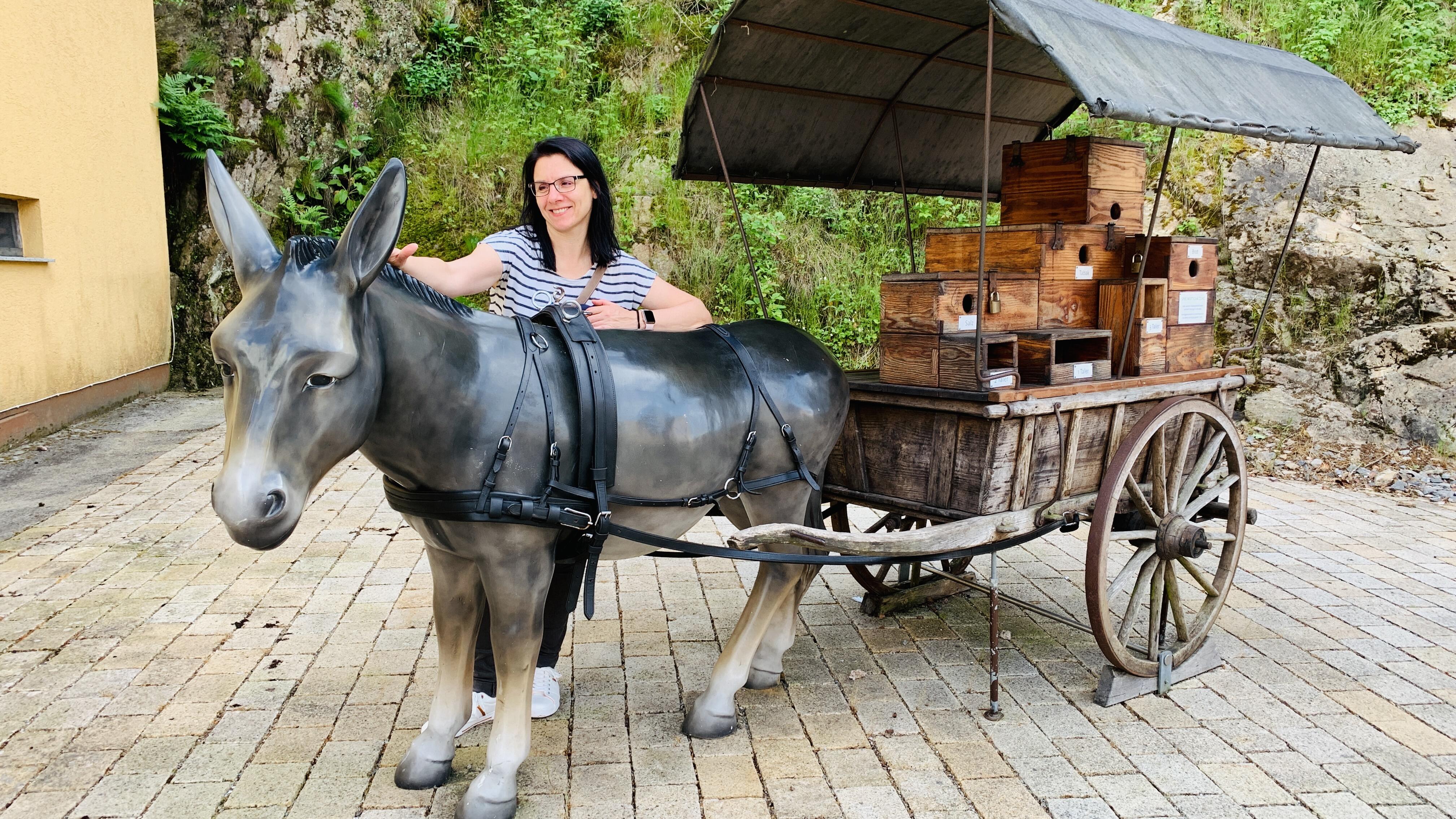 Bild ohne Beschreibung