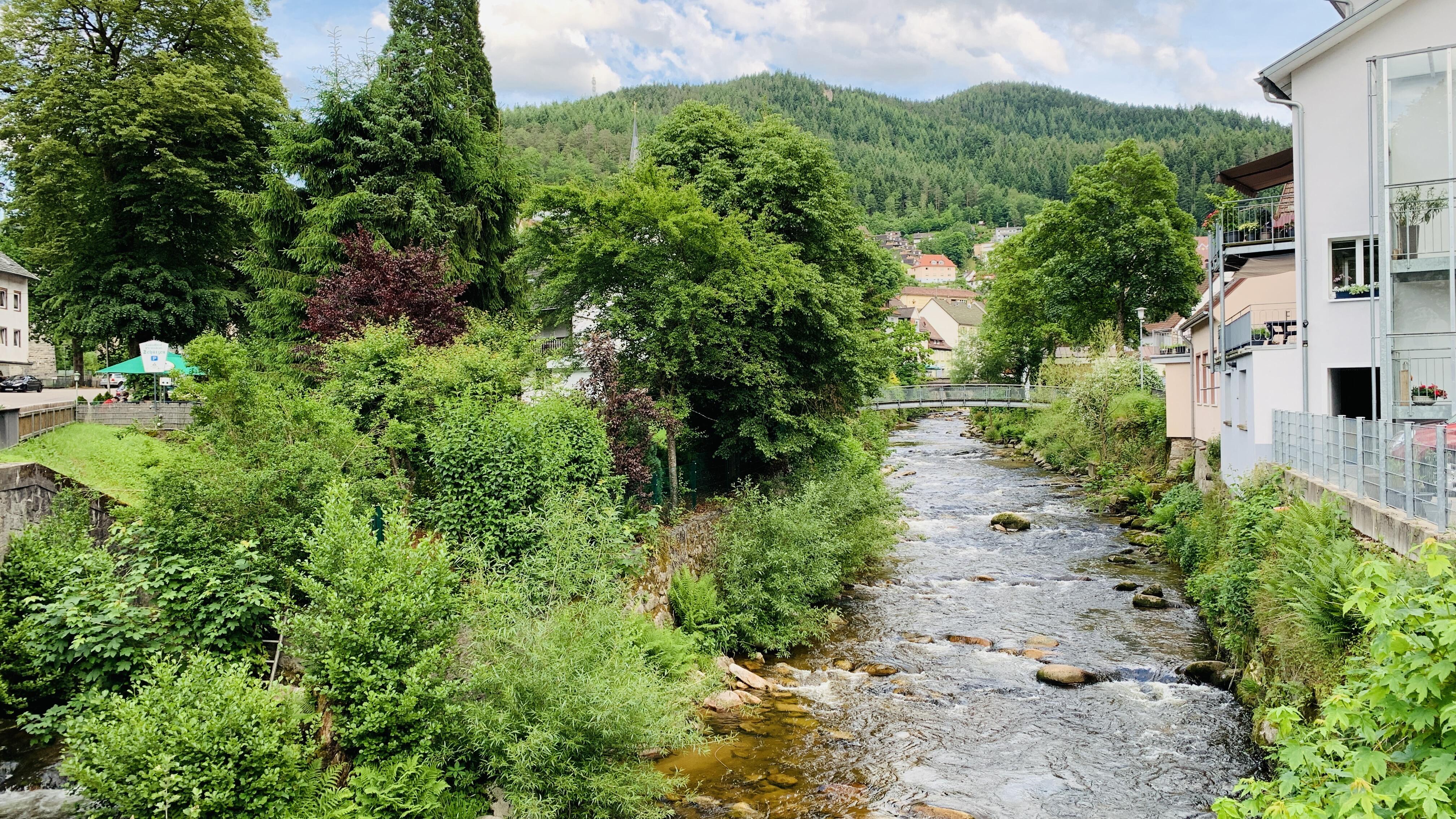 Bild ohne Beschreibung