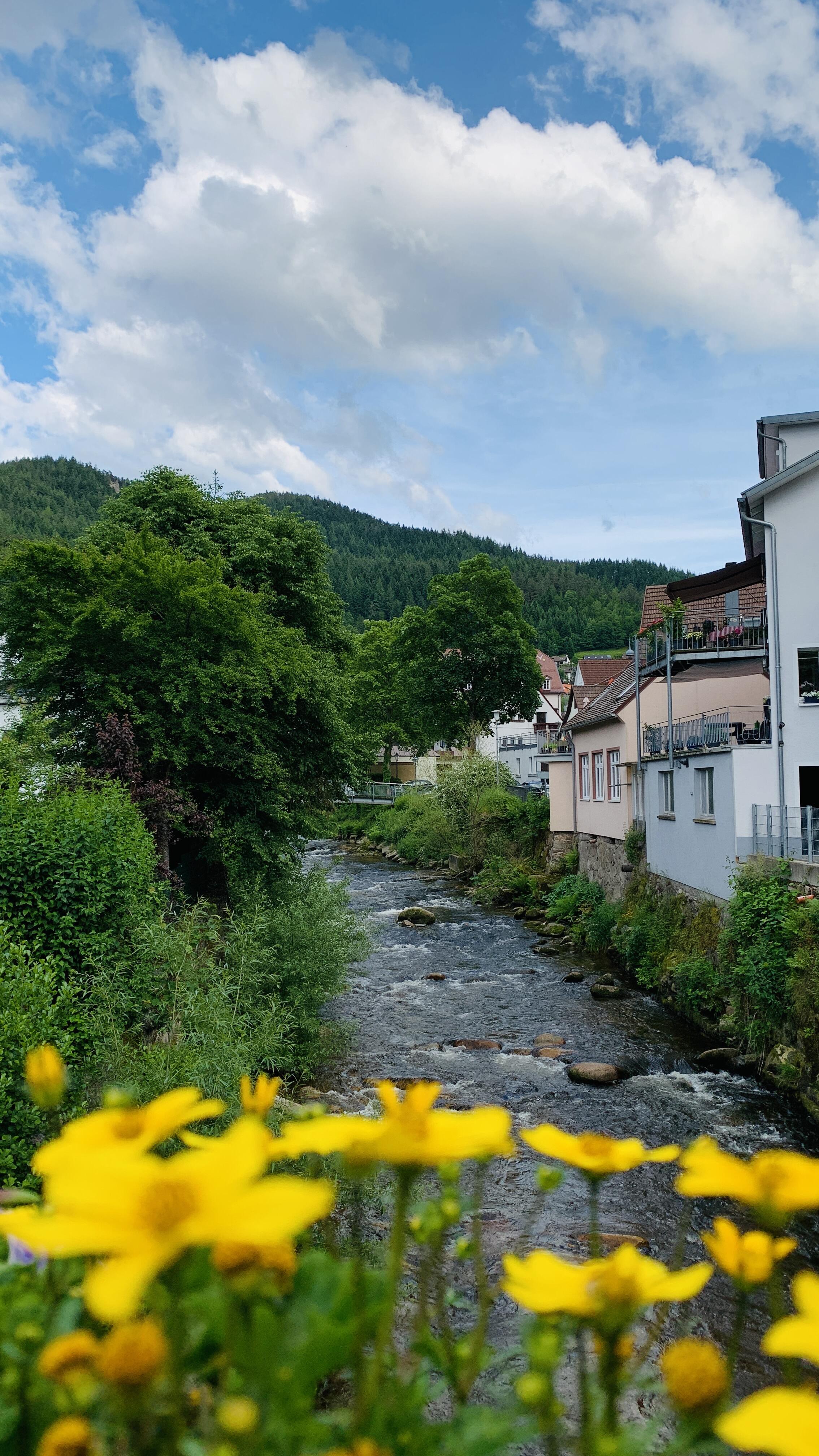 Bild ohne Beschreibung