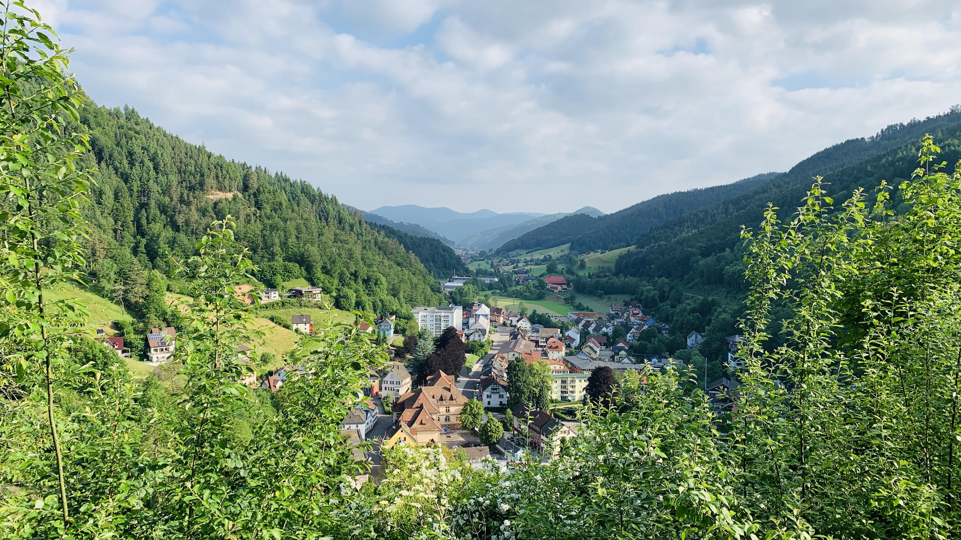 Bild ohne Beschreibung