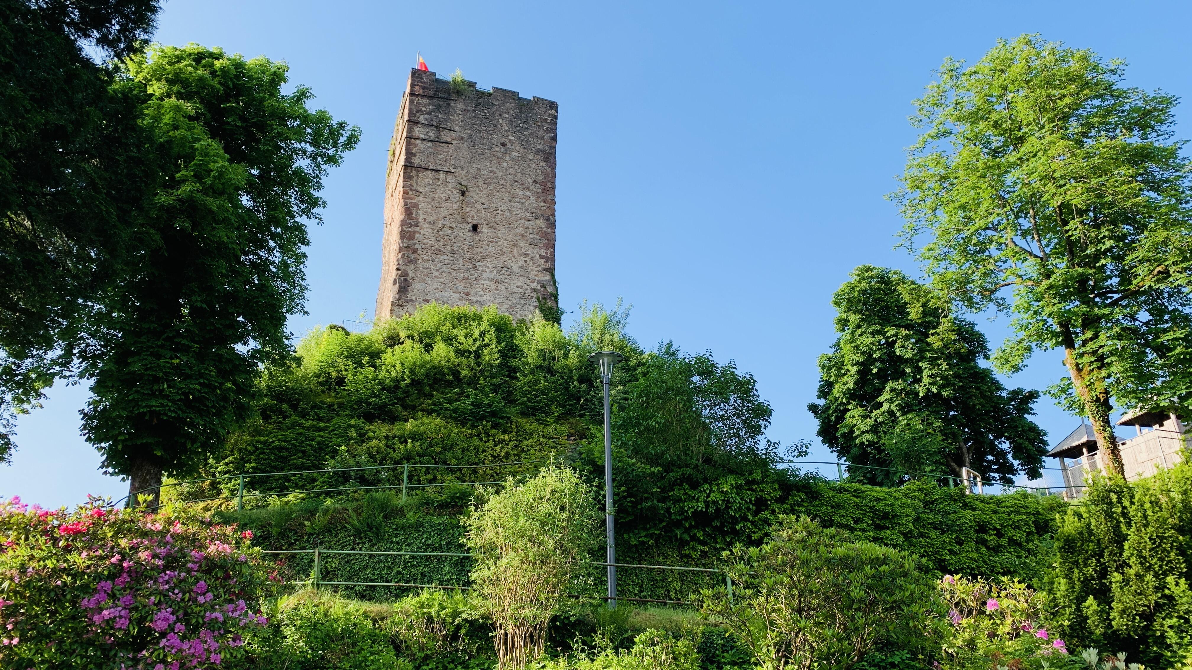 Bild ohne Beschreibung