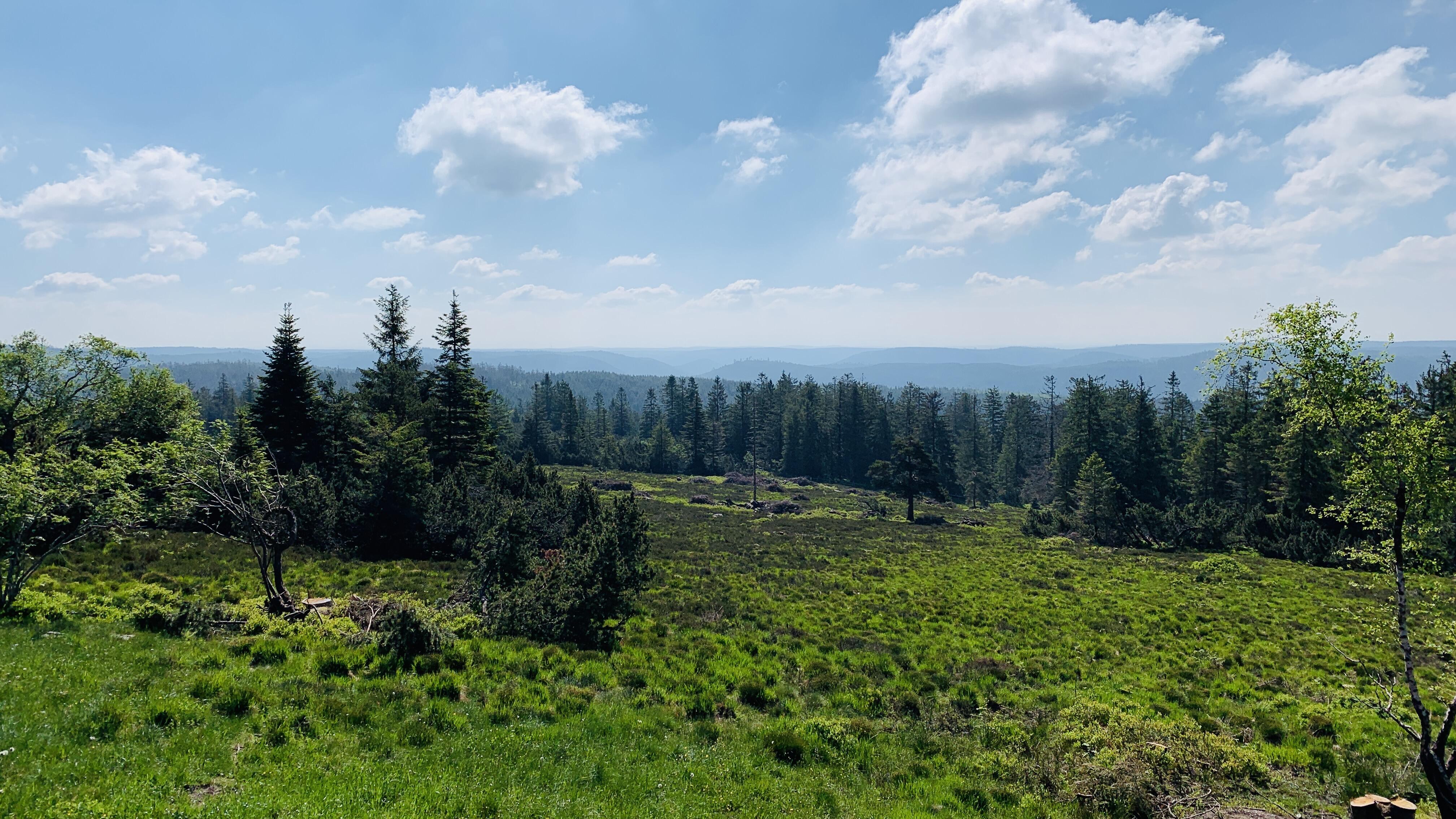 Bild ohne Beschreibung