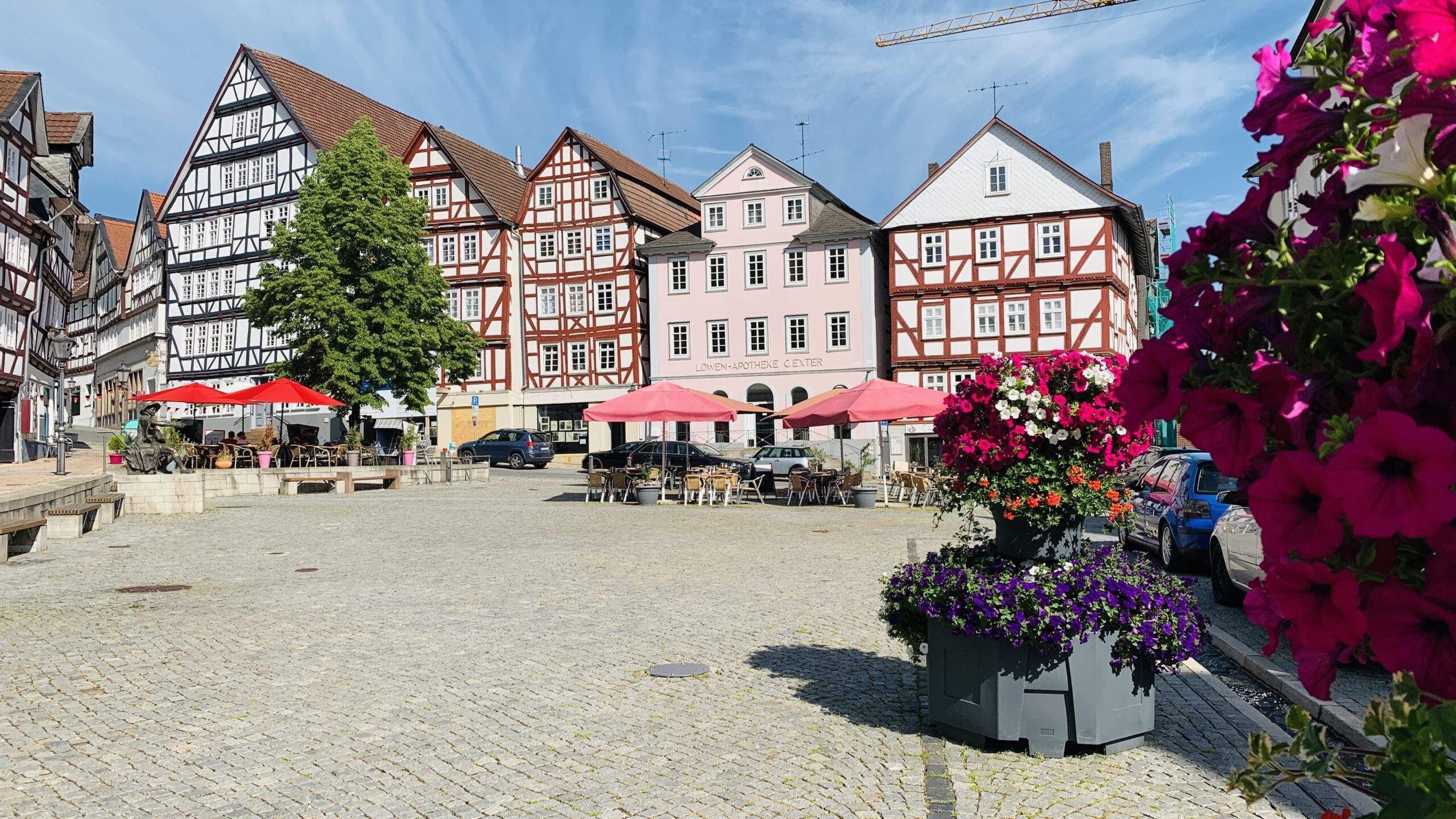 Bild ohne Beschreibung