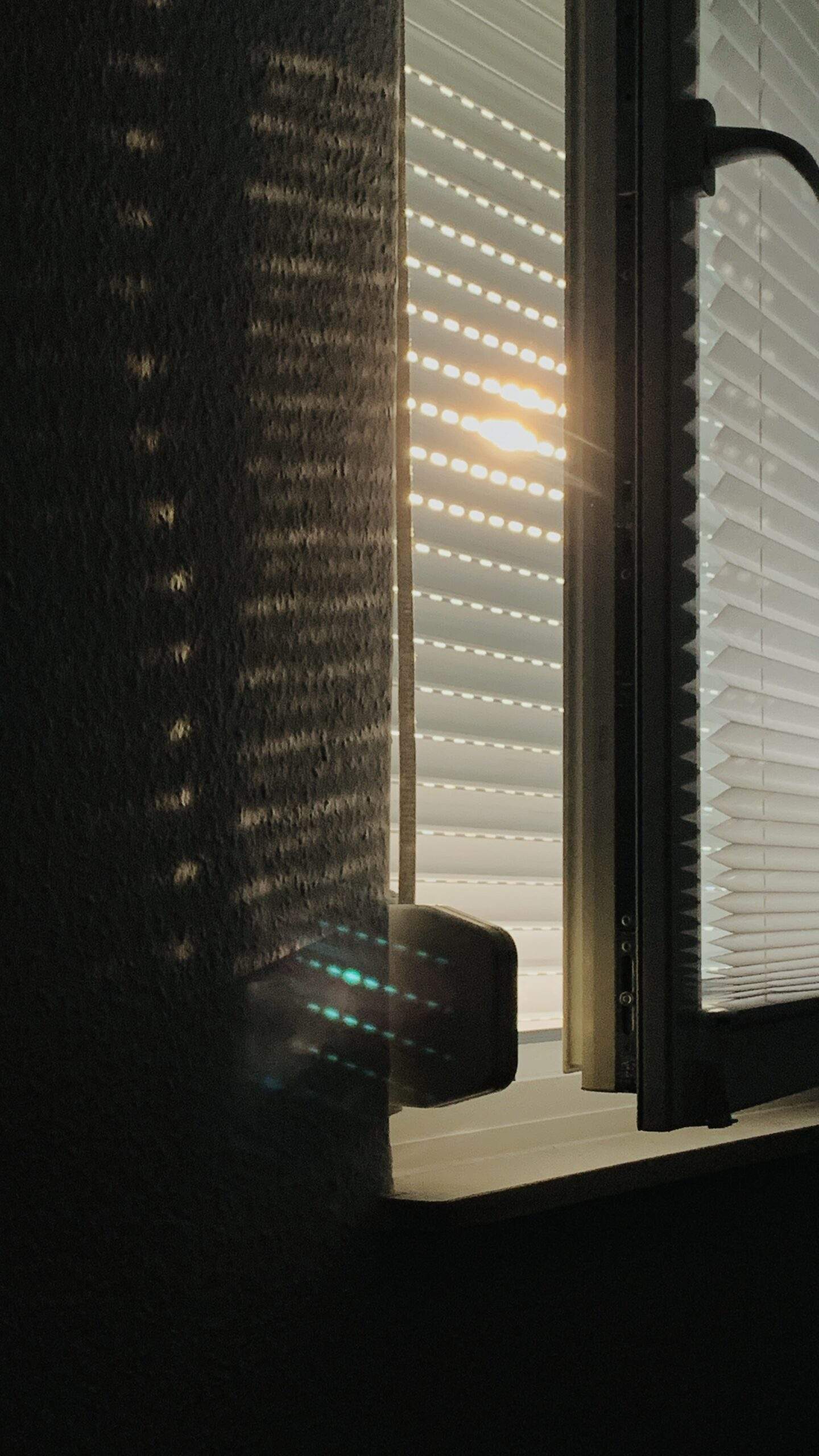 Bild ohne Beschreibung