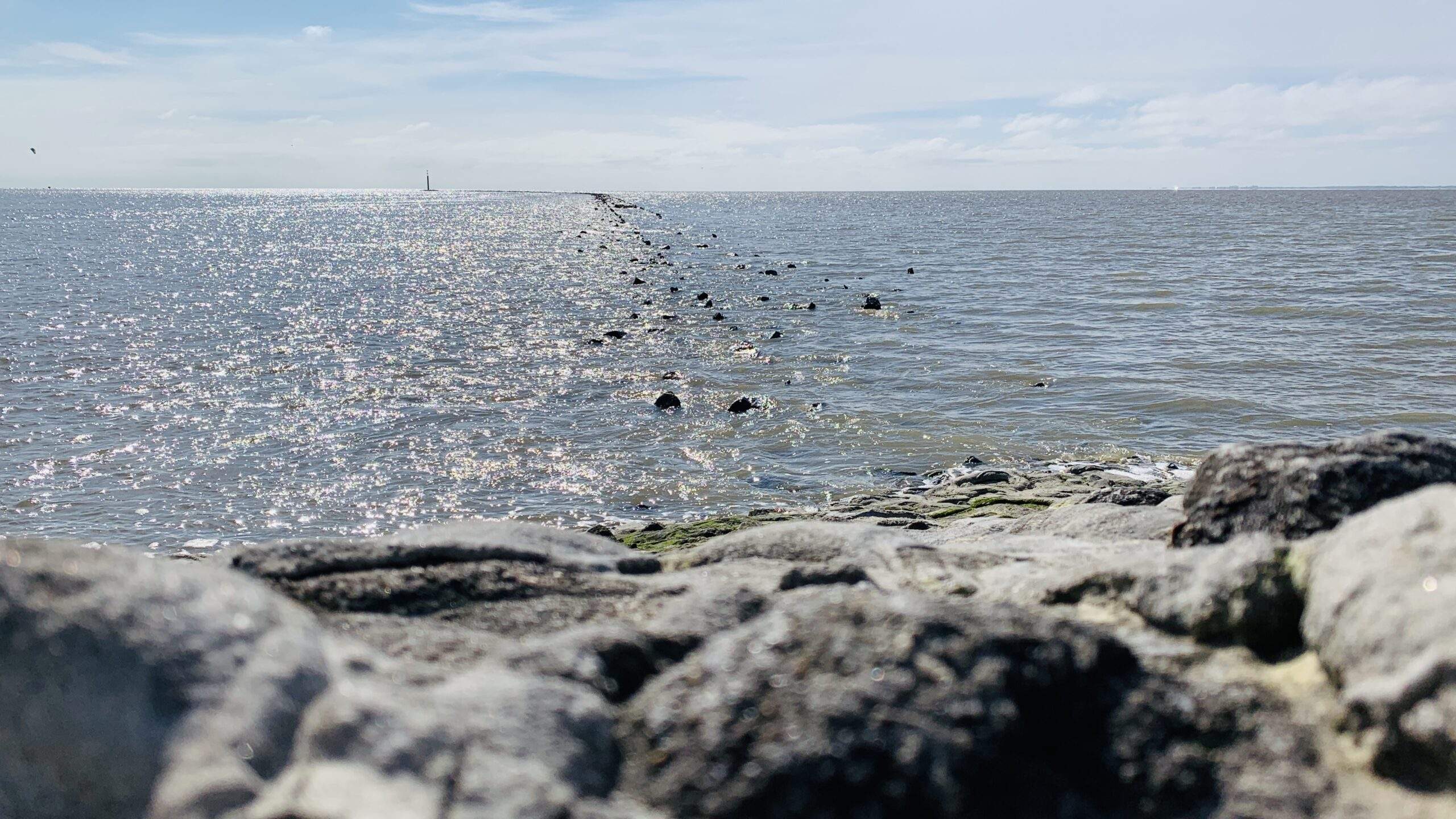 Bild ohne Beschreibung