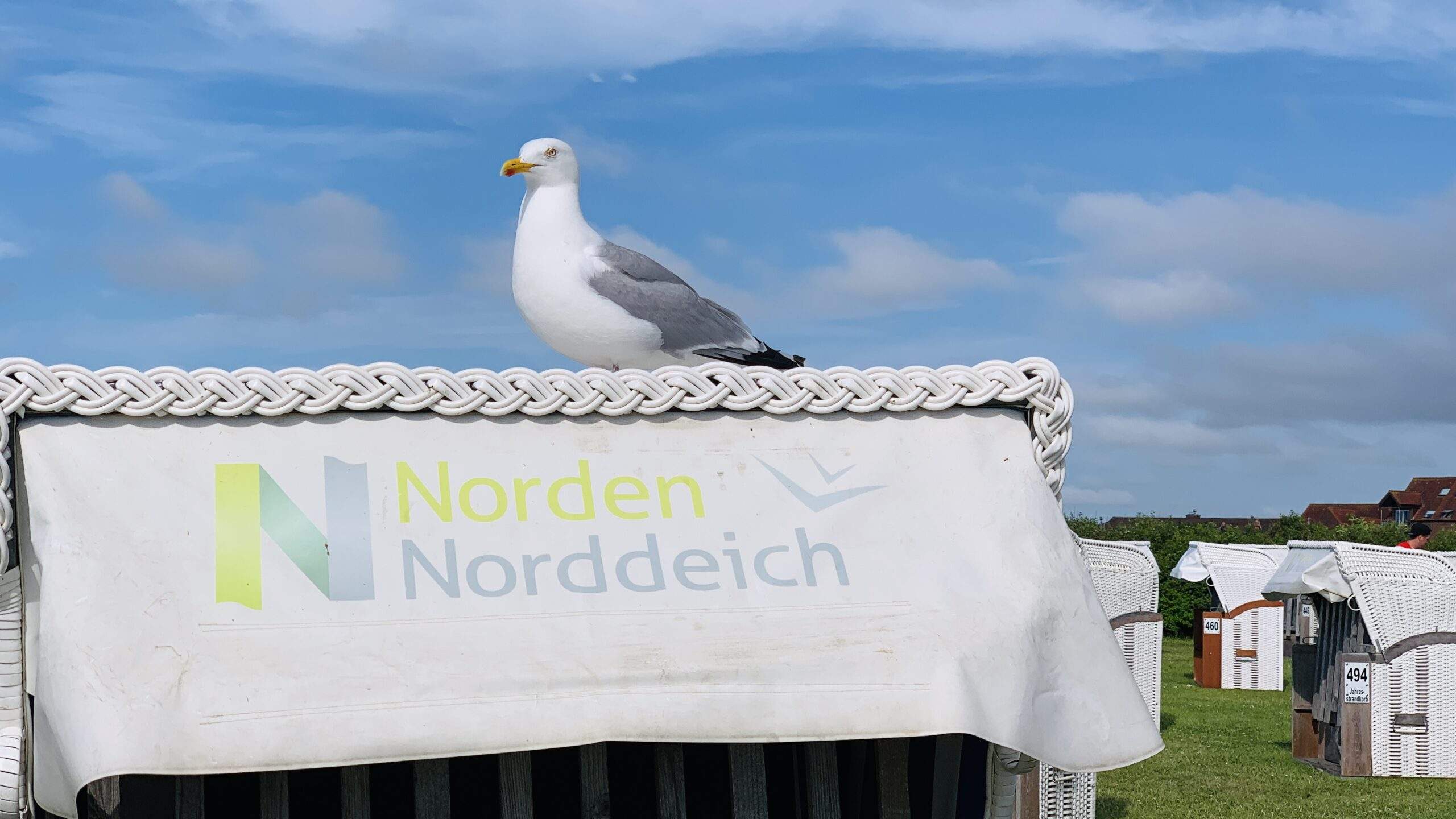 Bild ohne Beschreibung