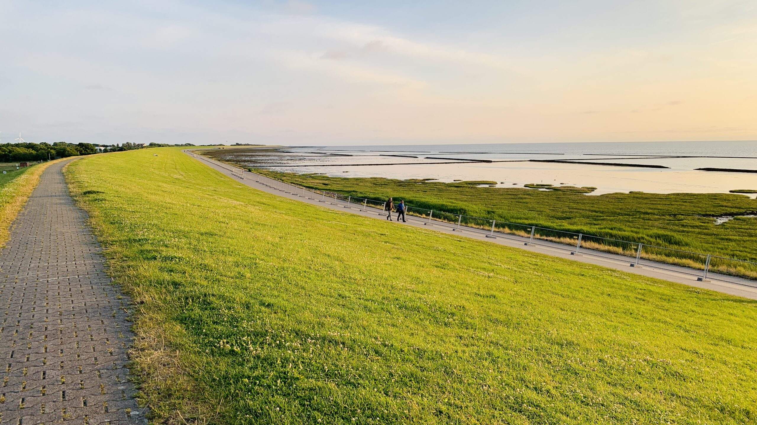 Bild ohne Beschreibung