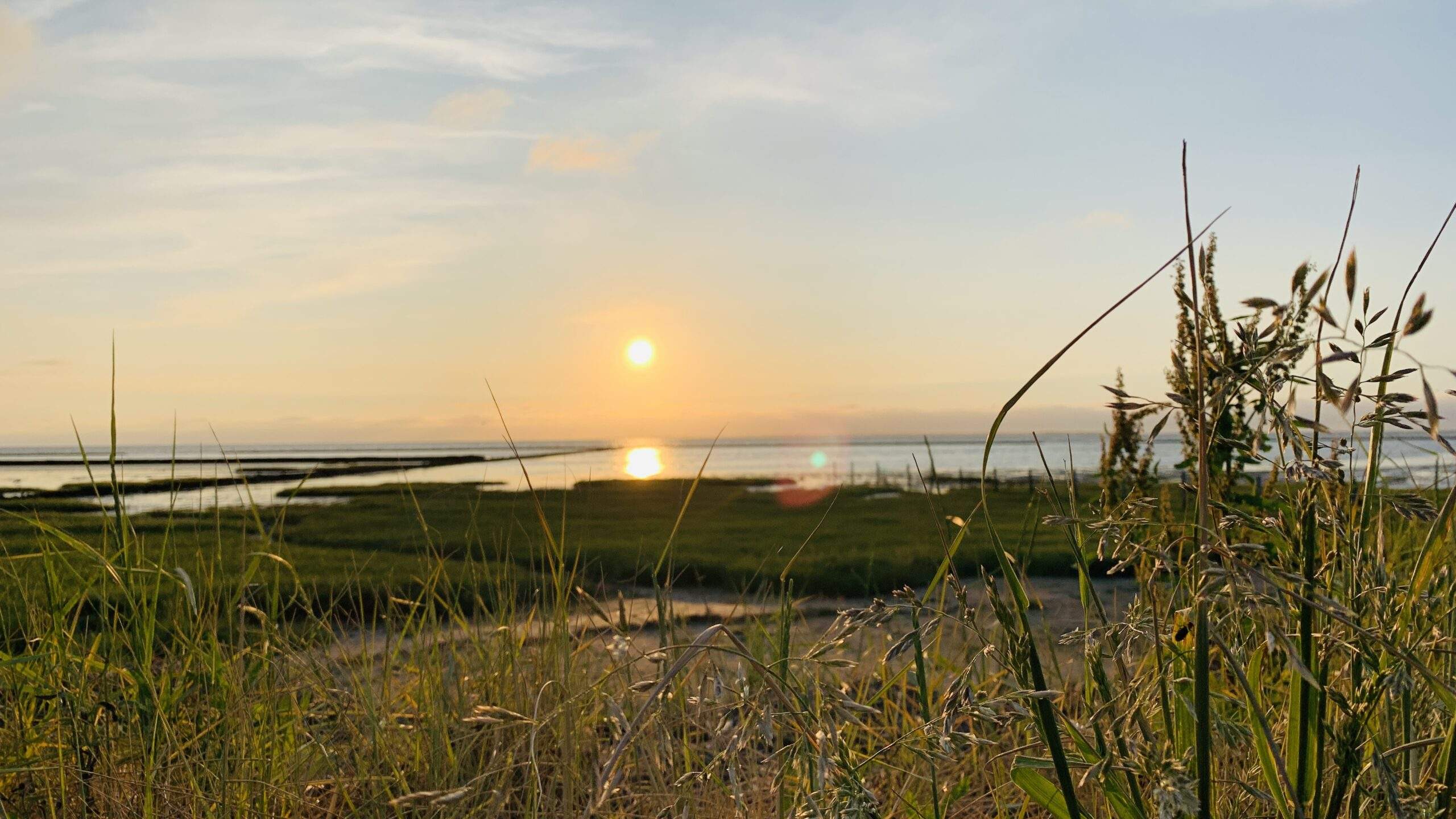 Bild ohne Beschreibung