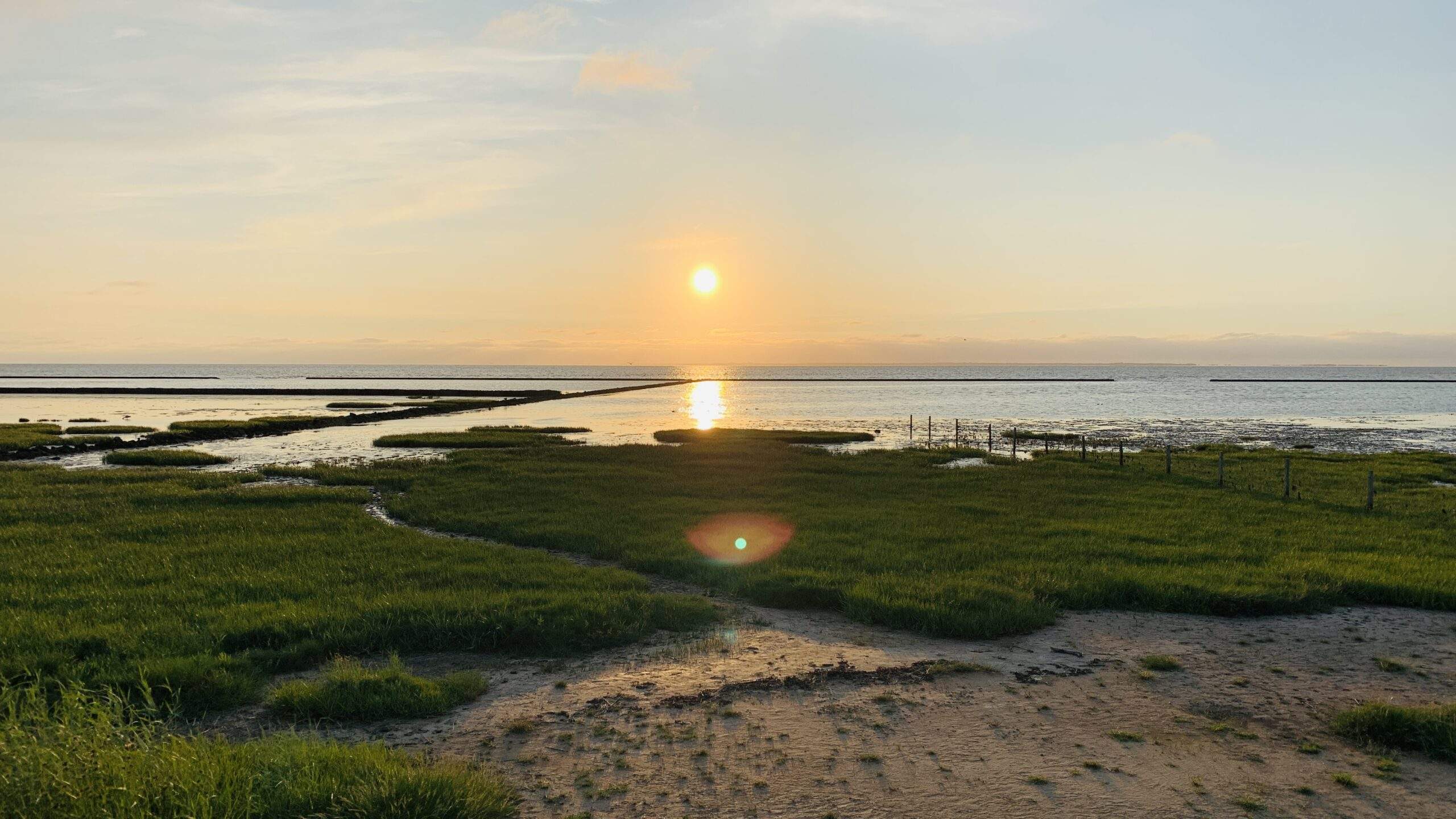 Bild ohne Beschreibung