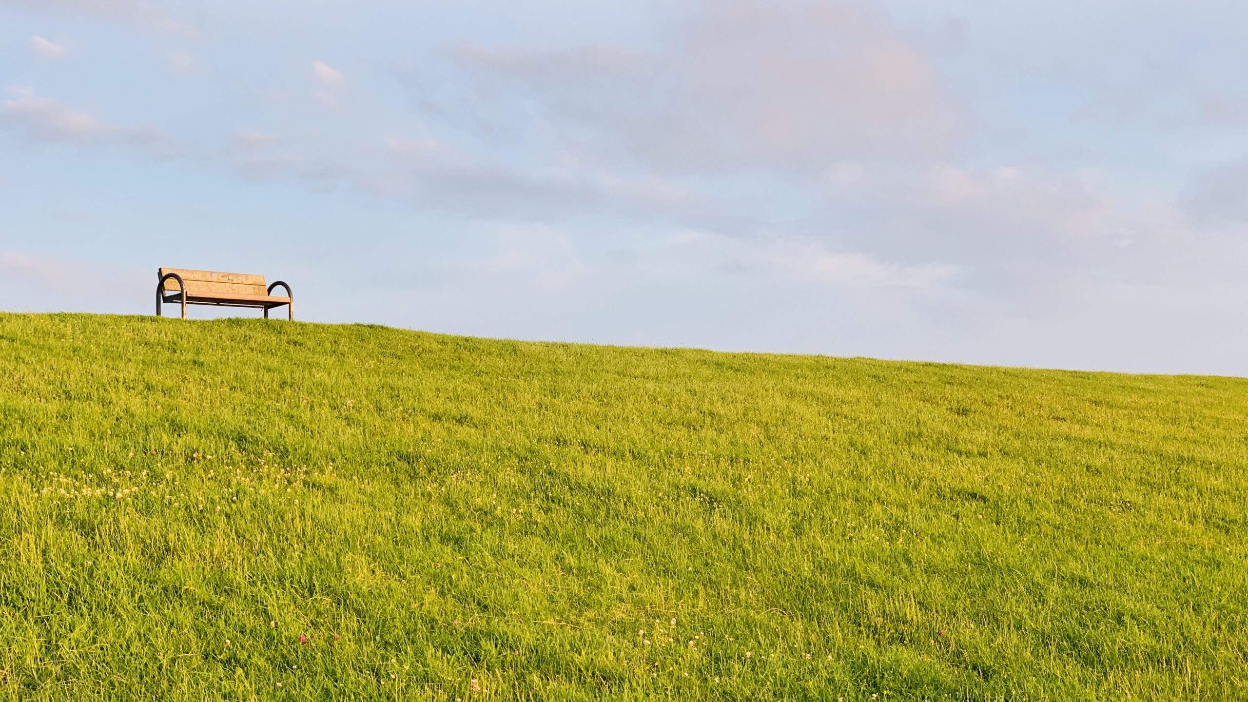 Bild ohne Beschreibung