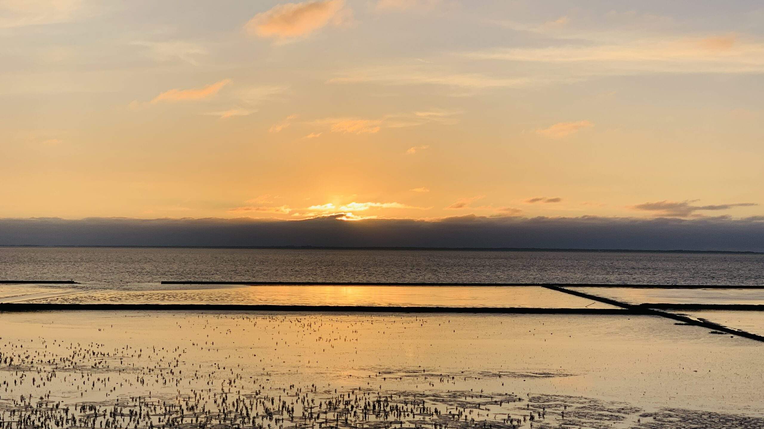 Bild ohne Beschreibung