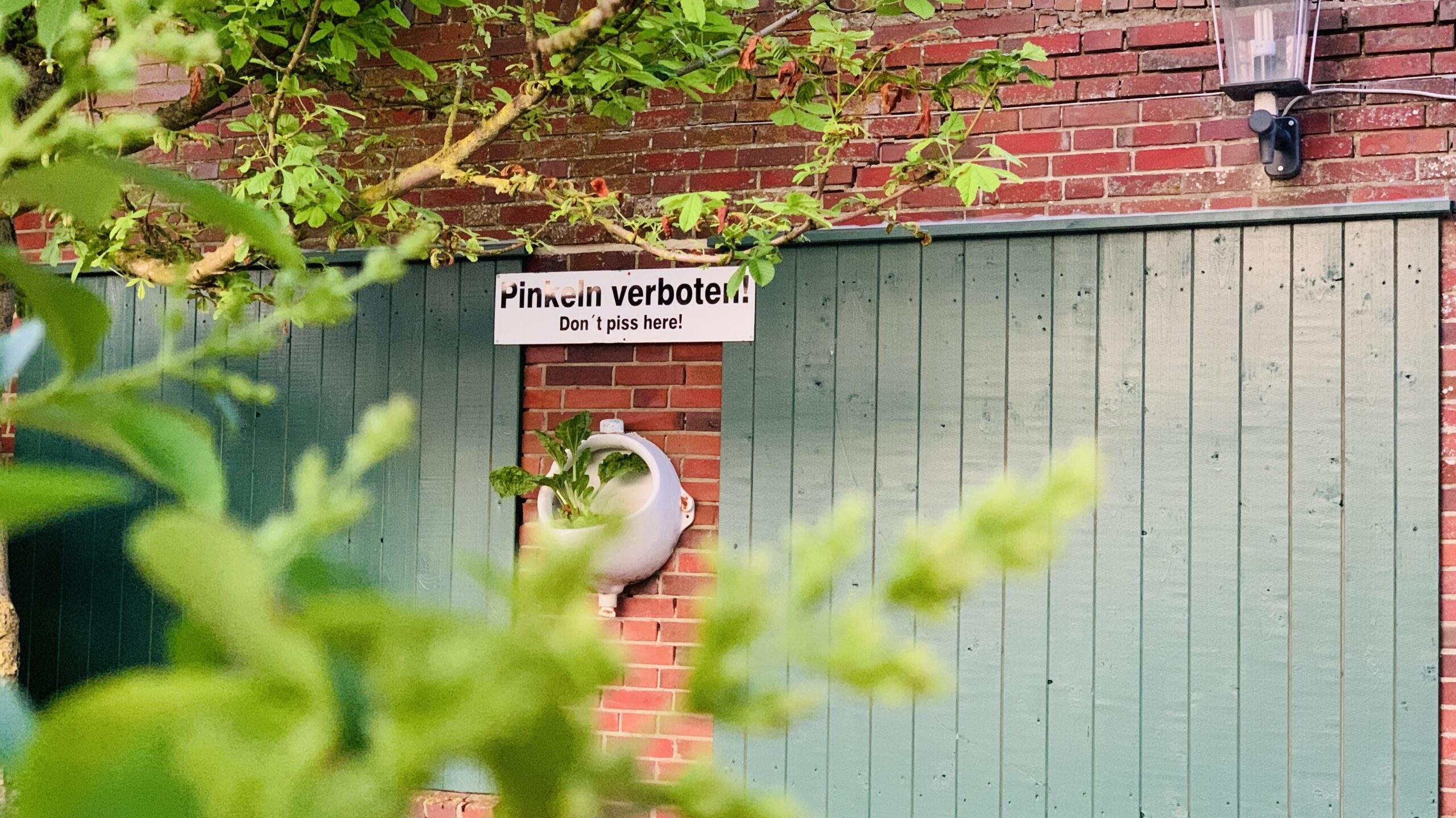 Bild ohne Beschreibung