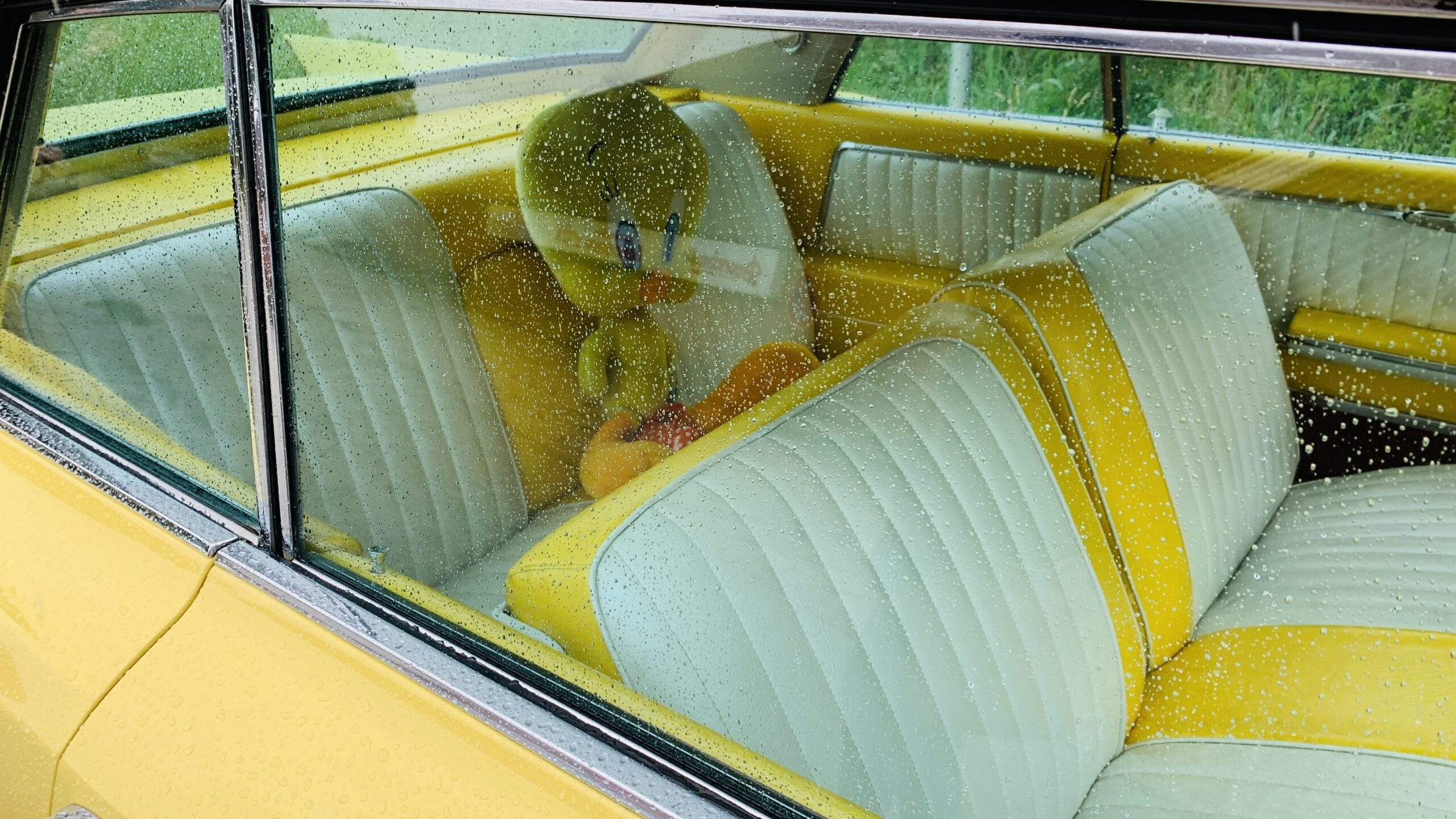 Bild ohne Beschreibung Bild ohne Beschreibung