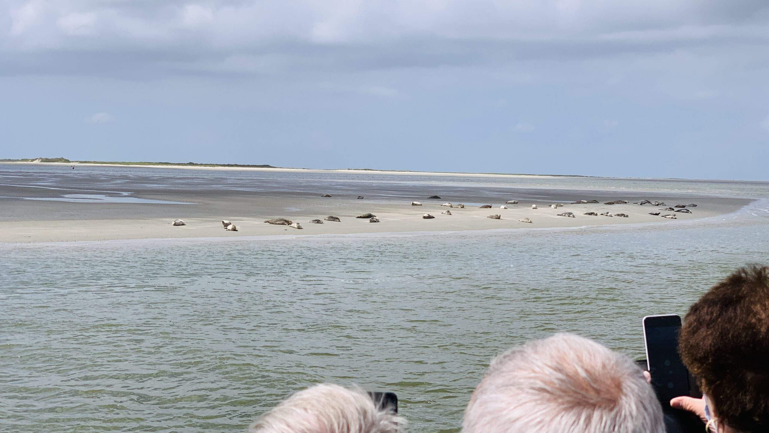 Bild ohne Beschreibung