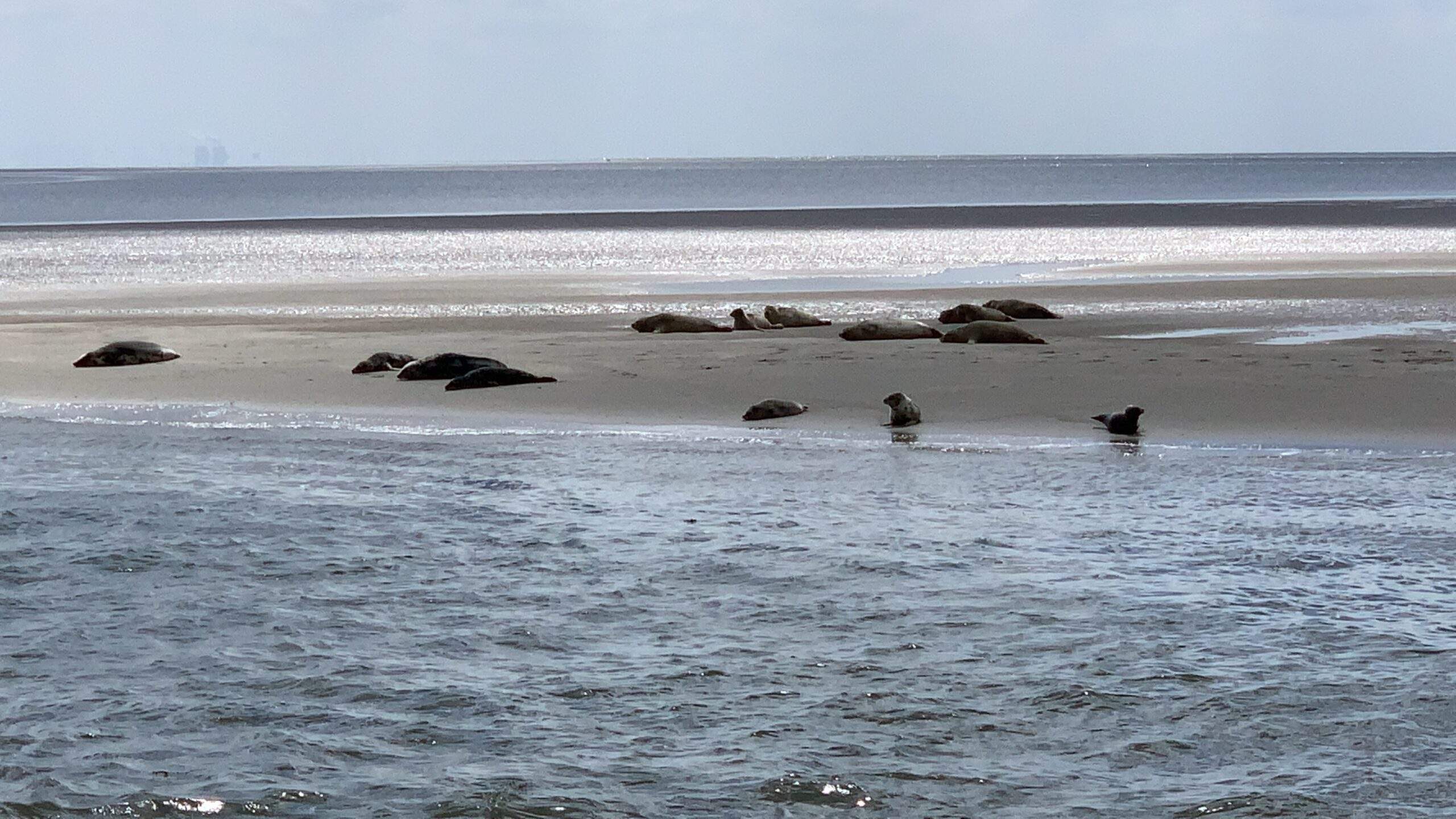 Bild ohne Beschreibung