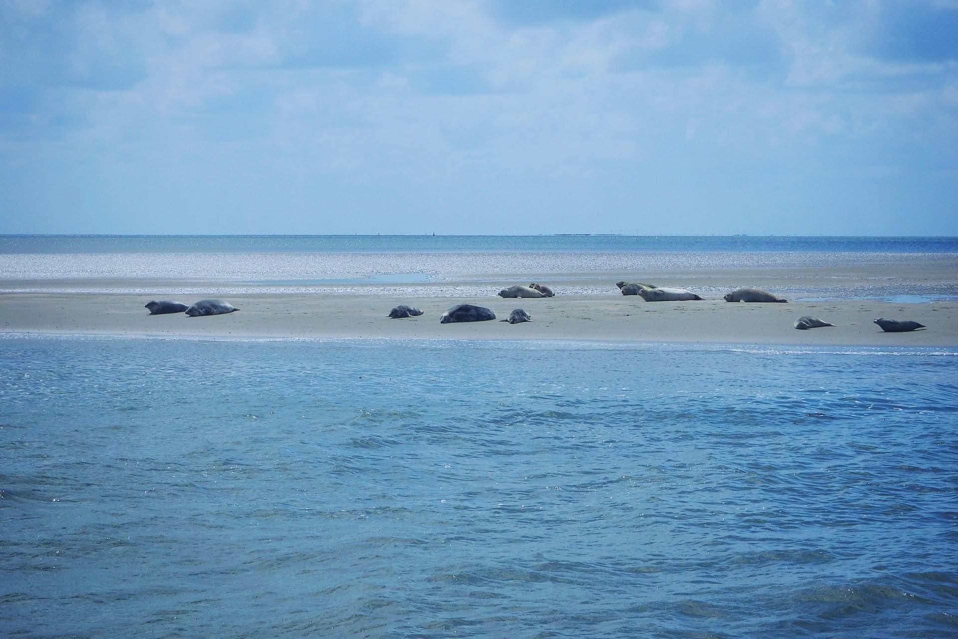 Bild ohne Beschreibung