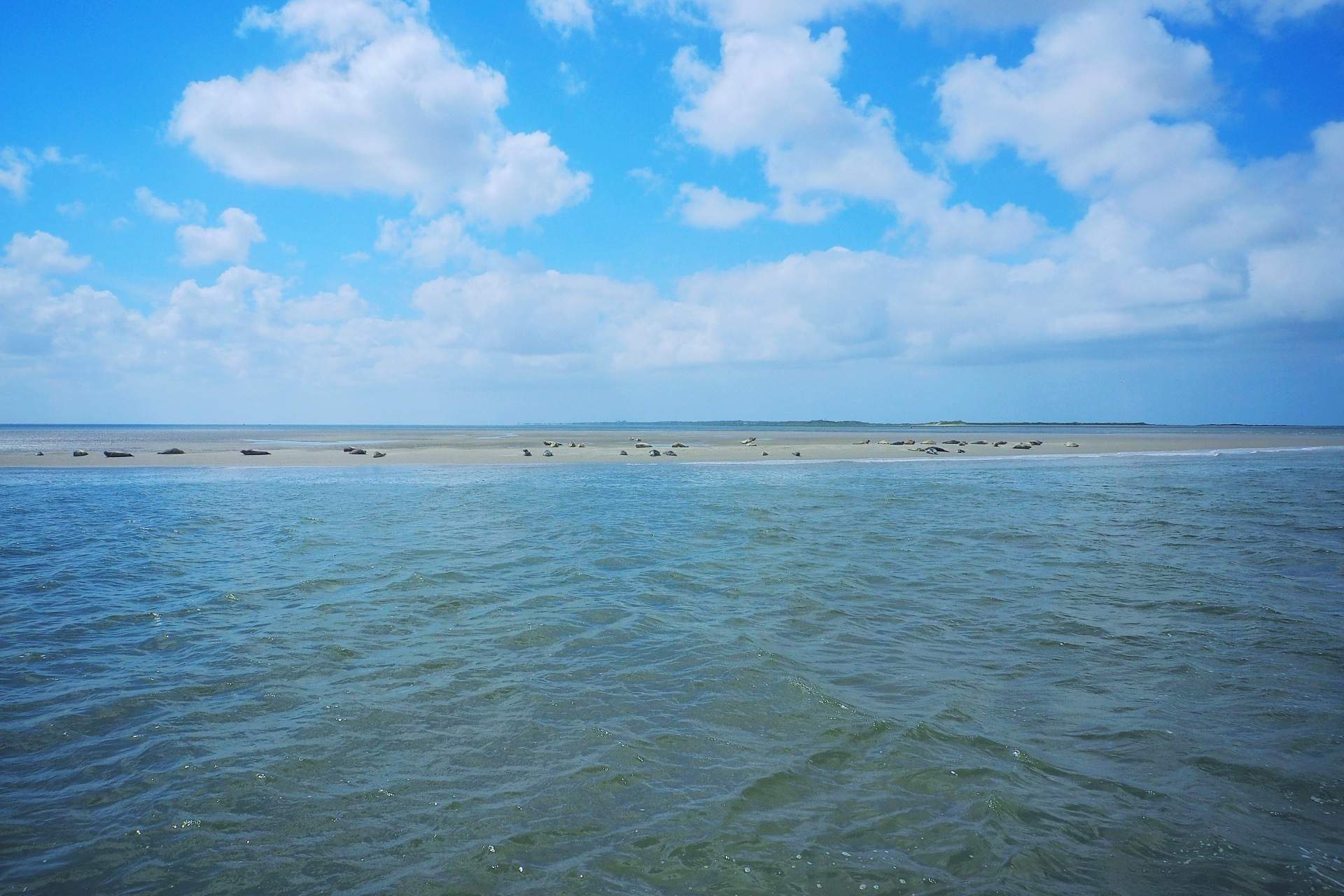 Bild ohne Beschreibung