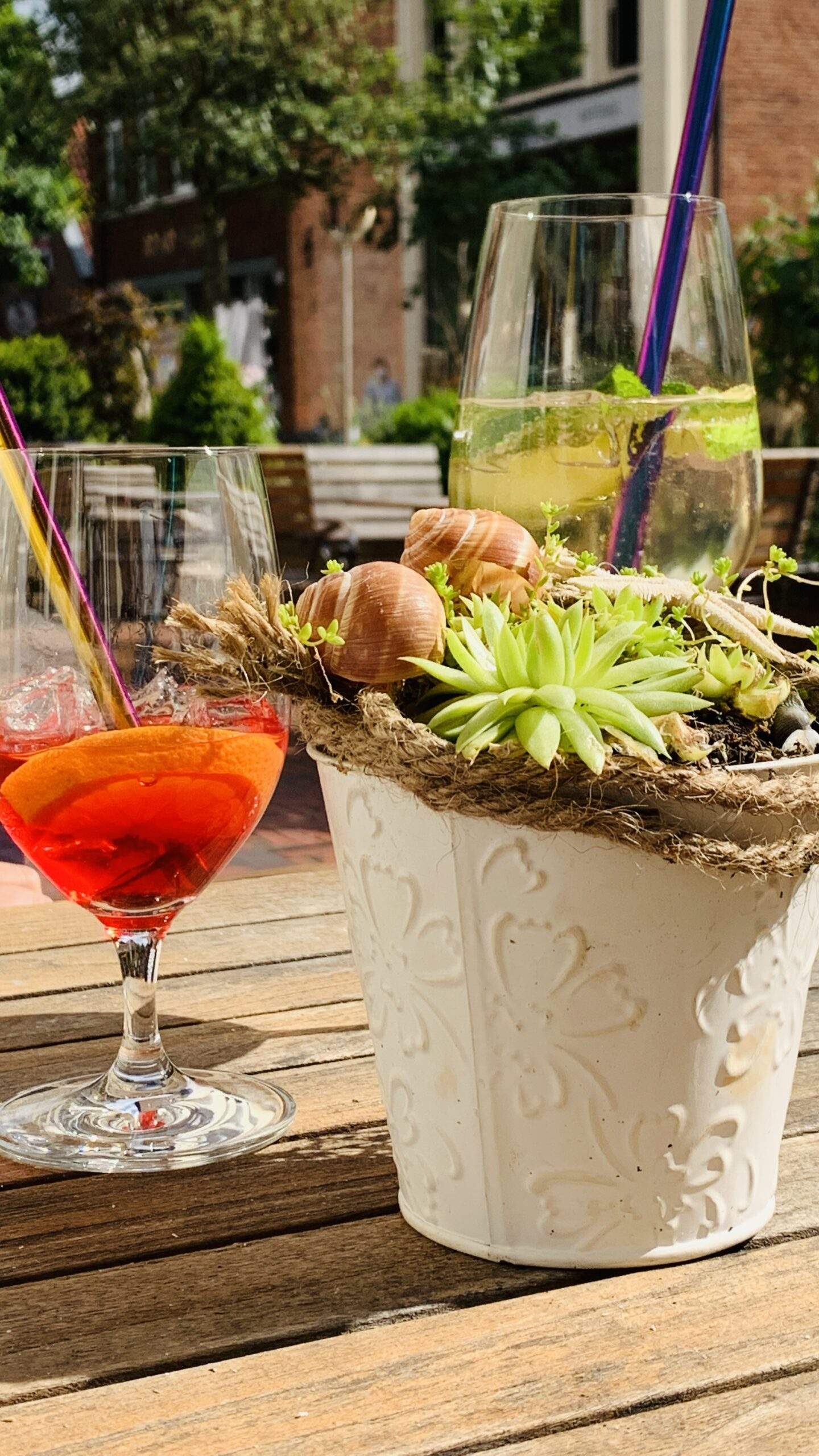 Bild ohne Beschreibung