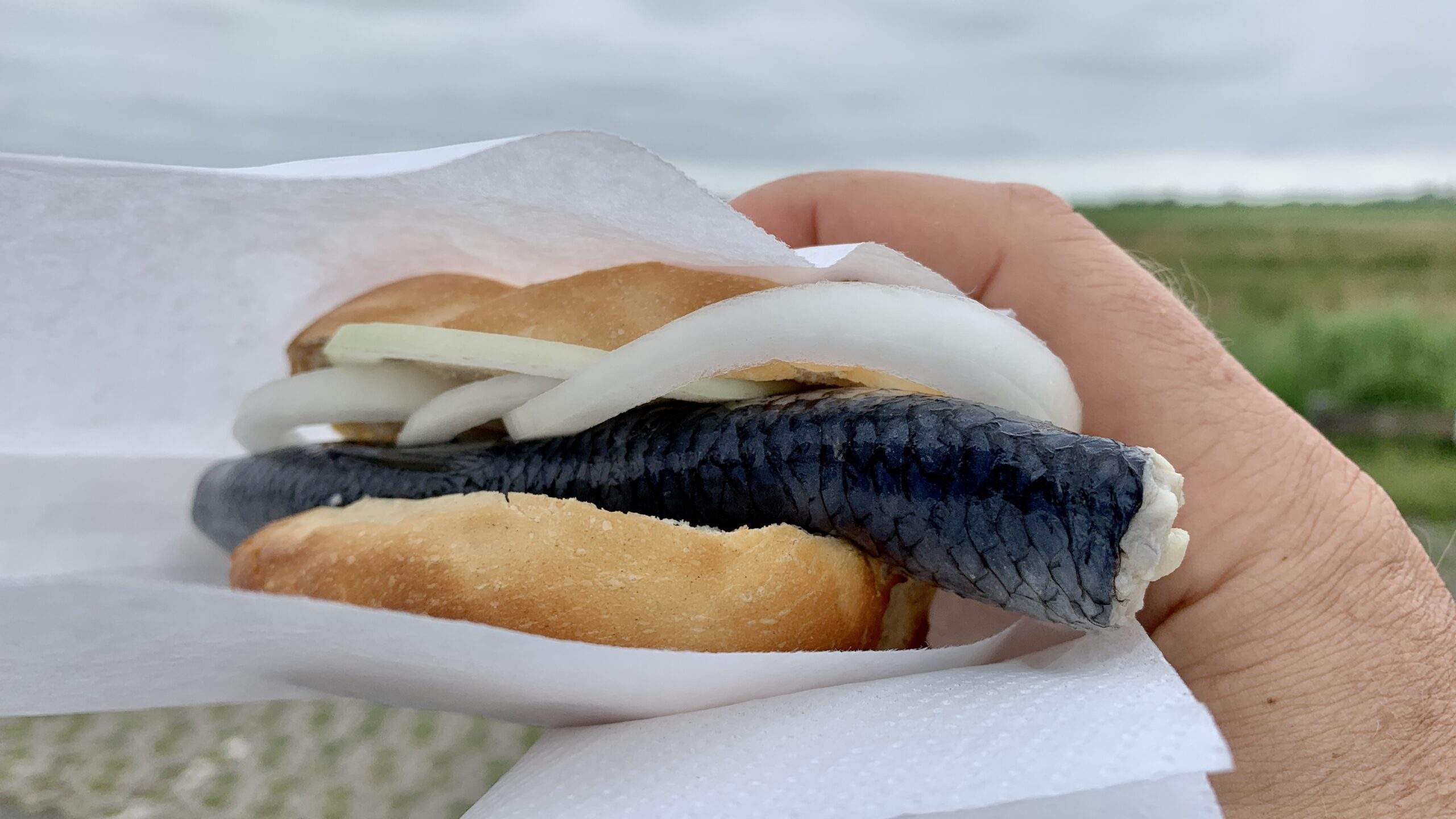 Bild ohne Beschreibung Bild ohne Beschreibung