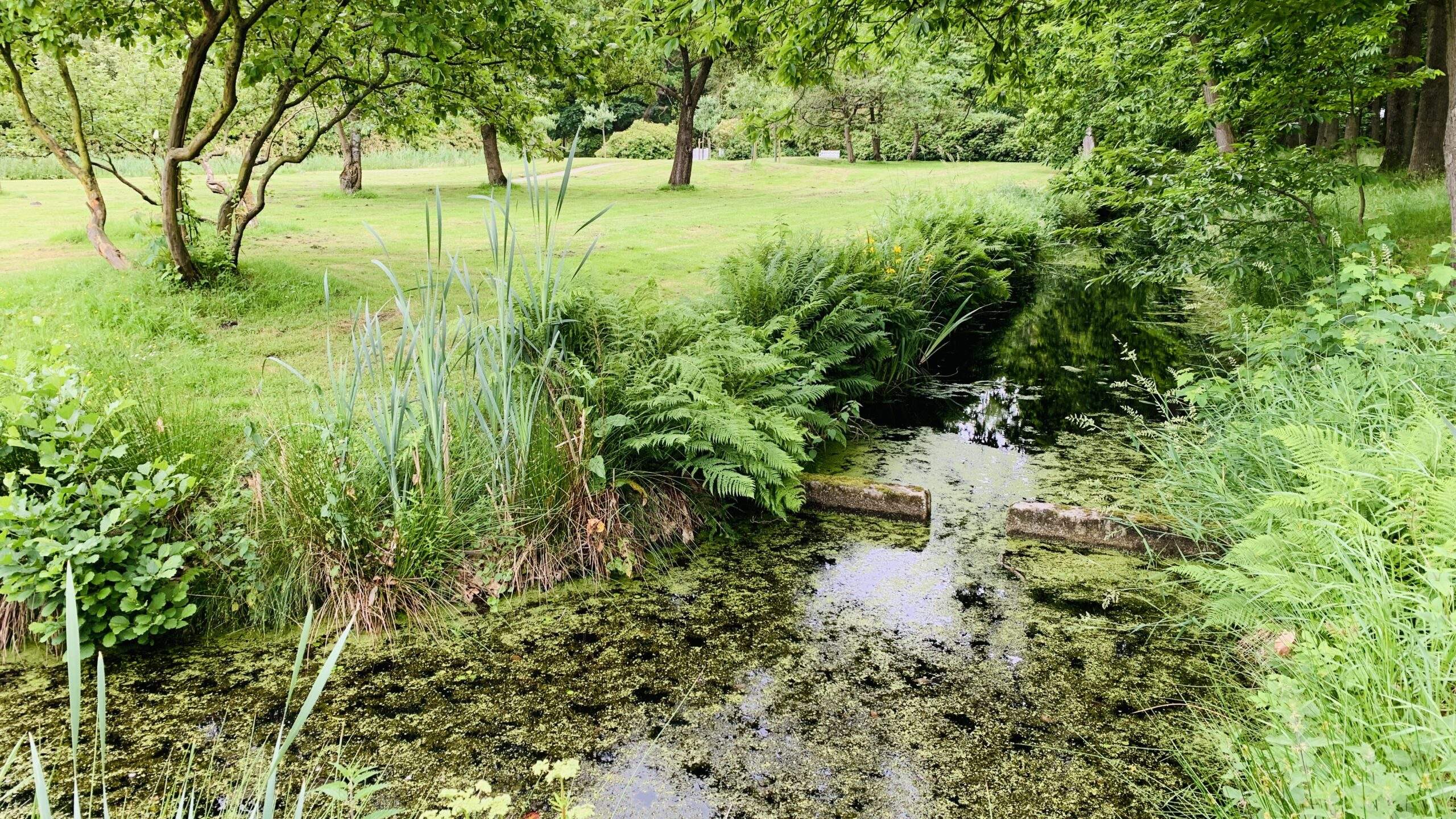 Bild ohne Beschreibung Bild ohne Beschreibung