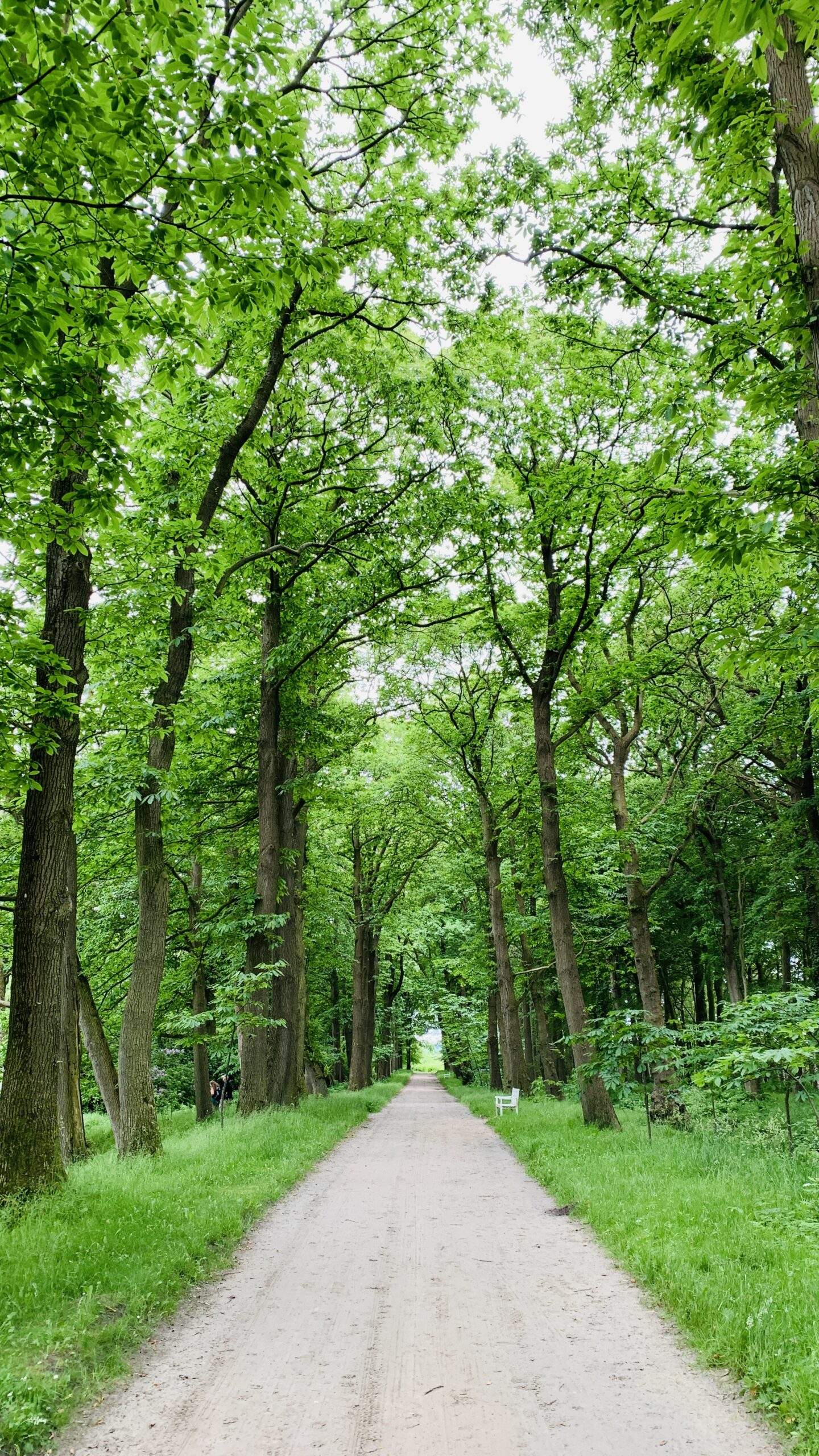 Bild ohne Beschreibung Bild ohne Beschreibung