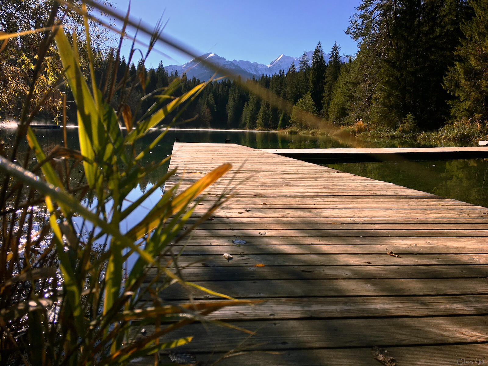 Bild ohne Beschreibung