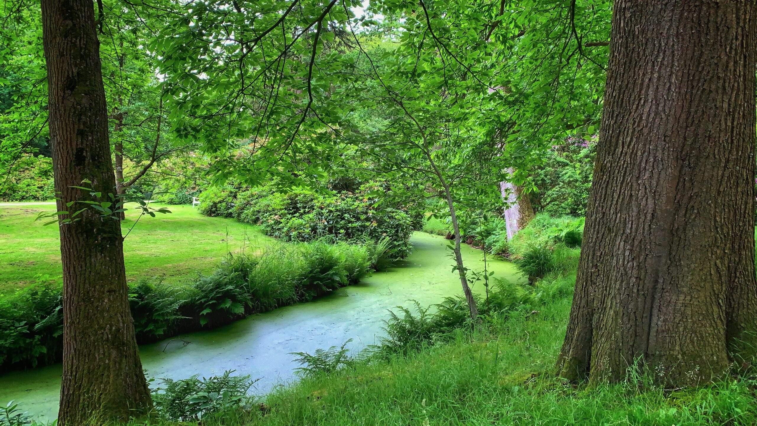 Bild ohne Beschreibung Bild ohne Beschreibung