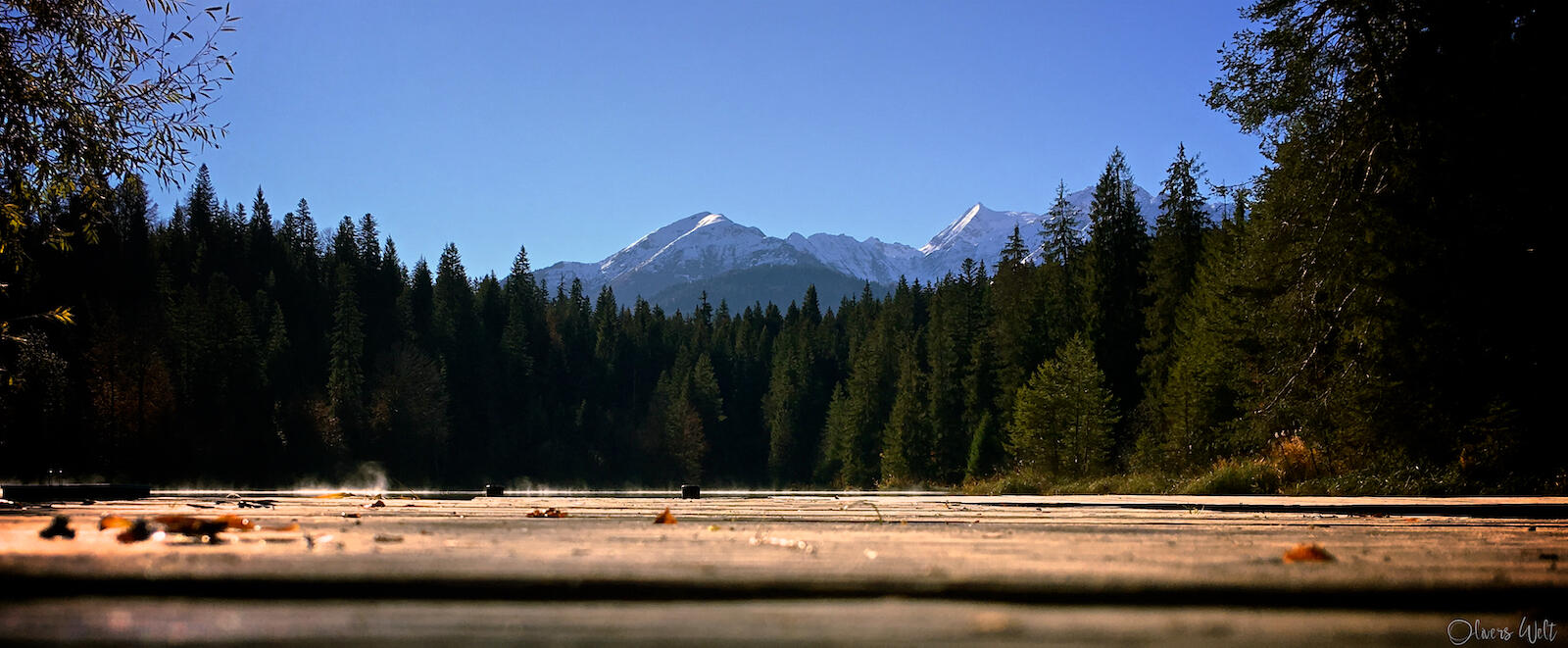 Bild ohne Beschreibung