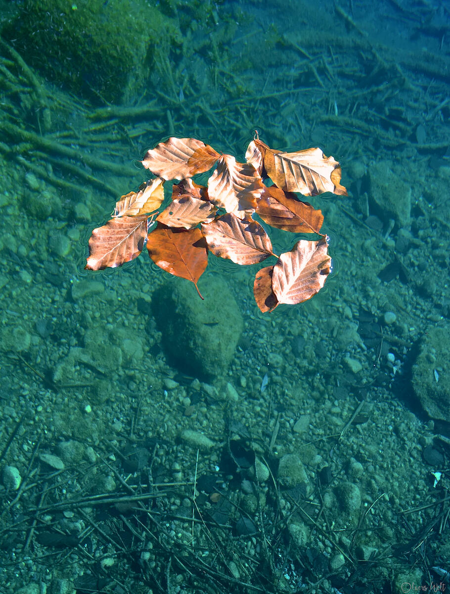 Bild ohne Beschreibung