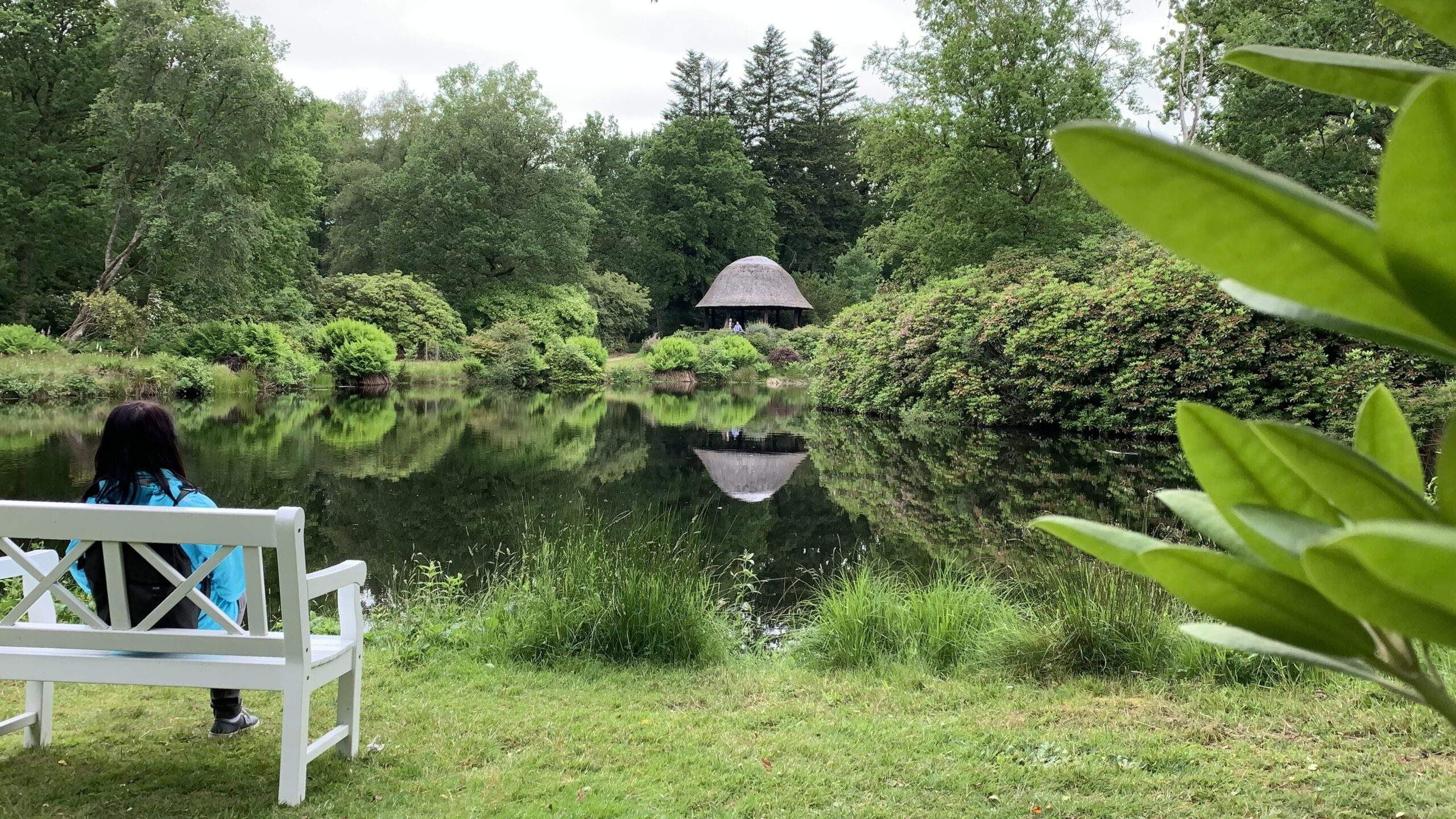 Bild ohne Beschreibung Bild ohne Beschreibung