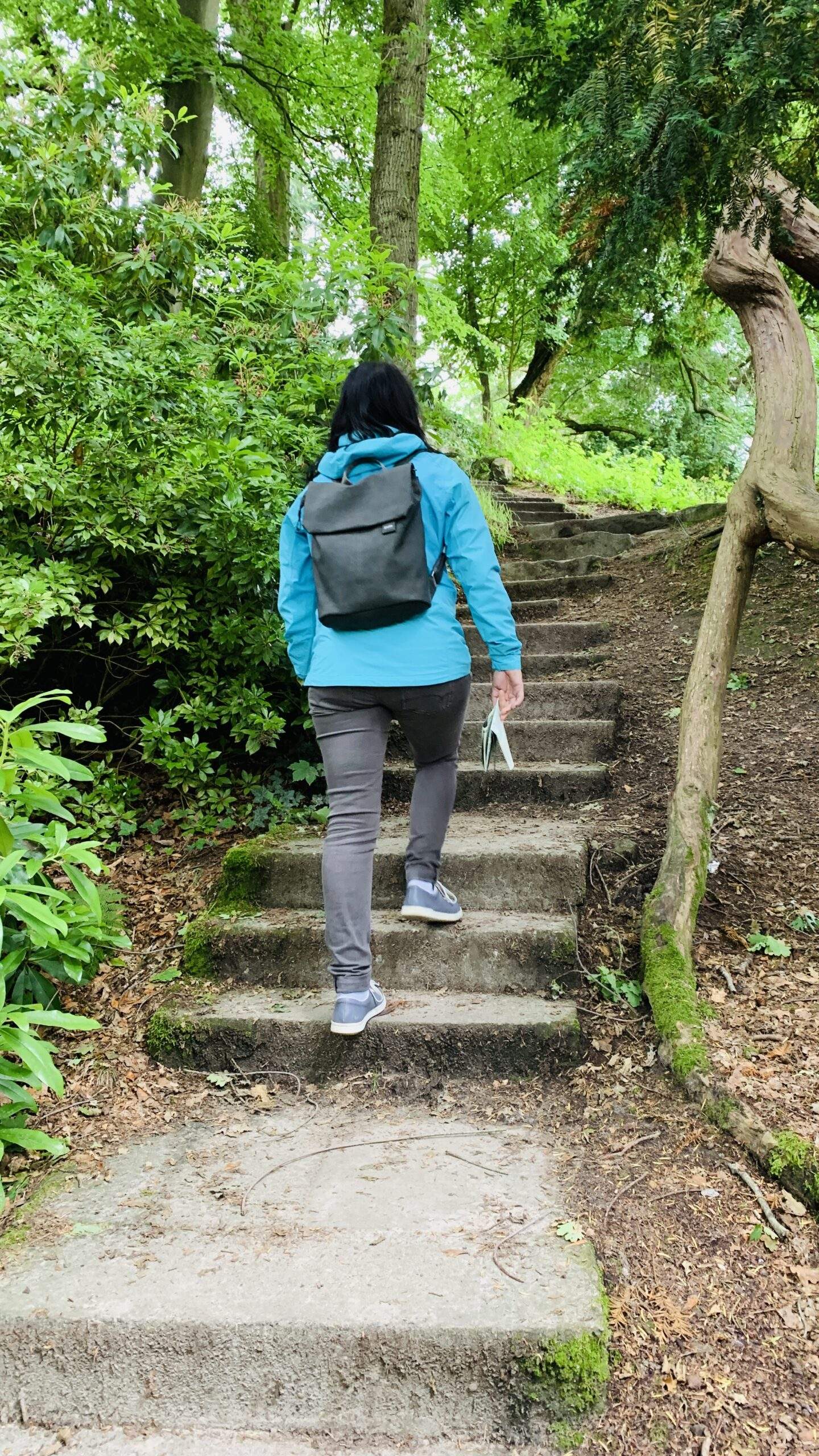 Bild ohne Beschreibung Bild ohne Beschreibung