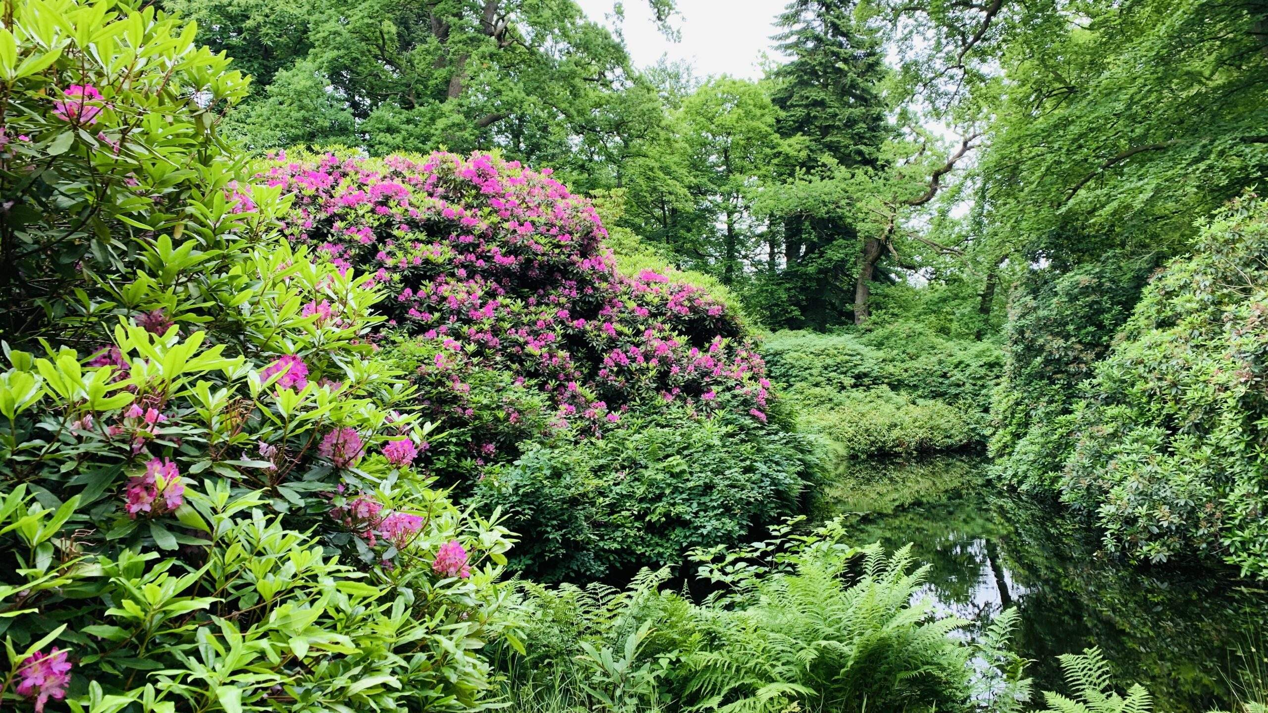 Bild ohne Beschreibung Bild ohne Beschreibung