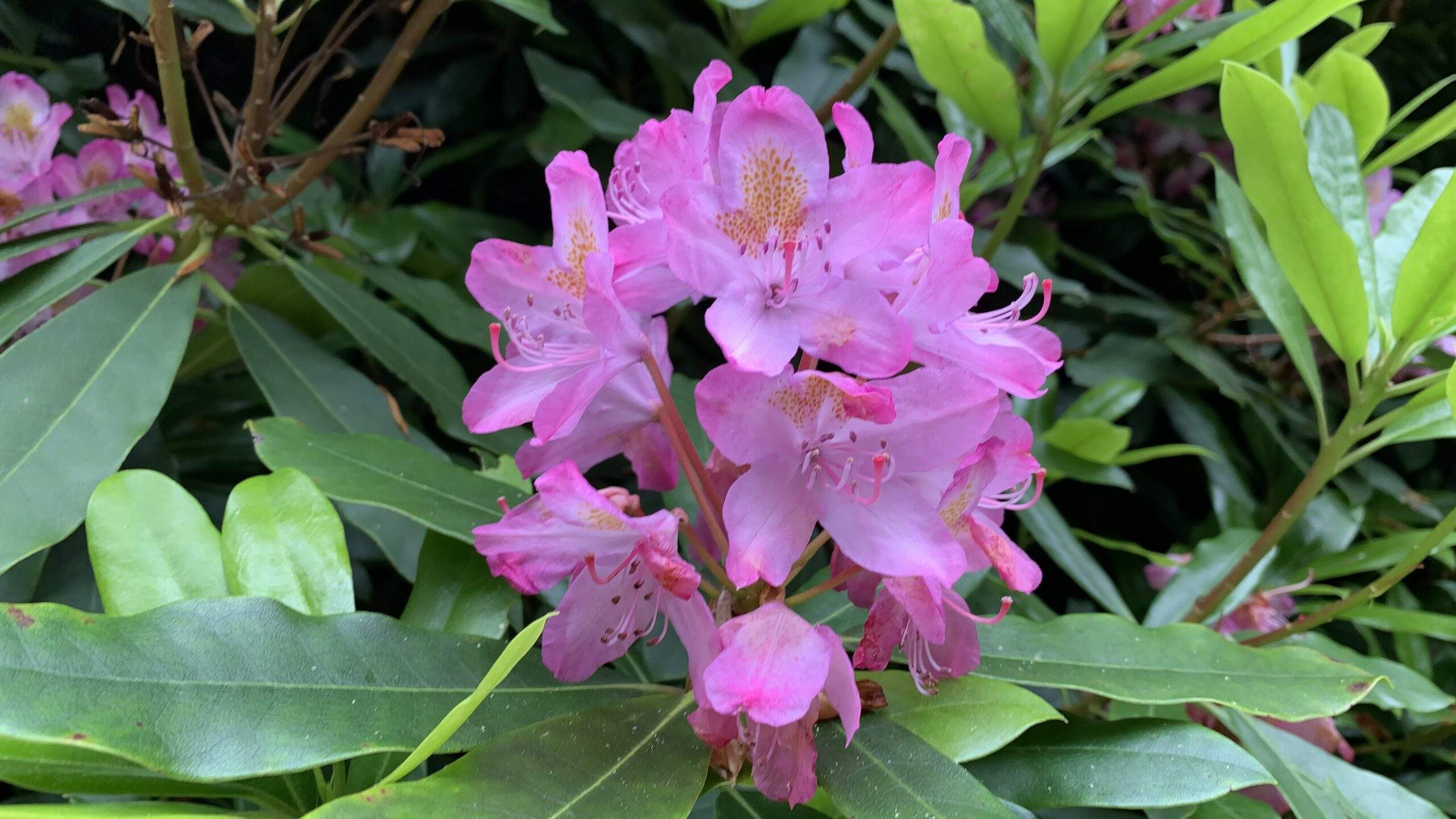 Bild ohne Beschreibung Bild ohne Beschreibung