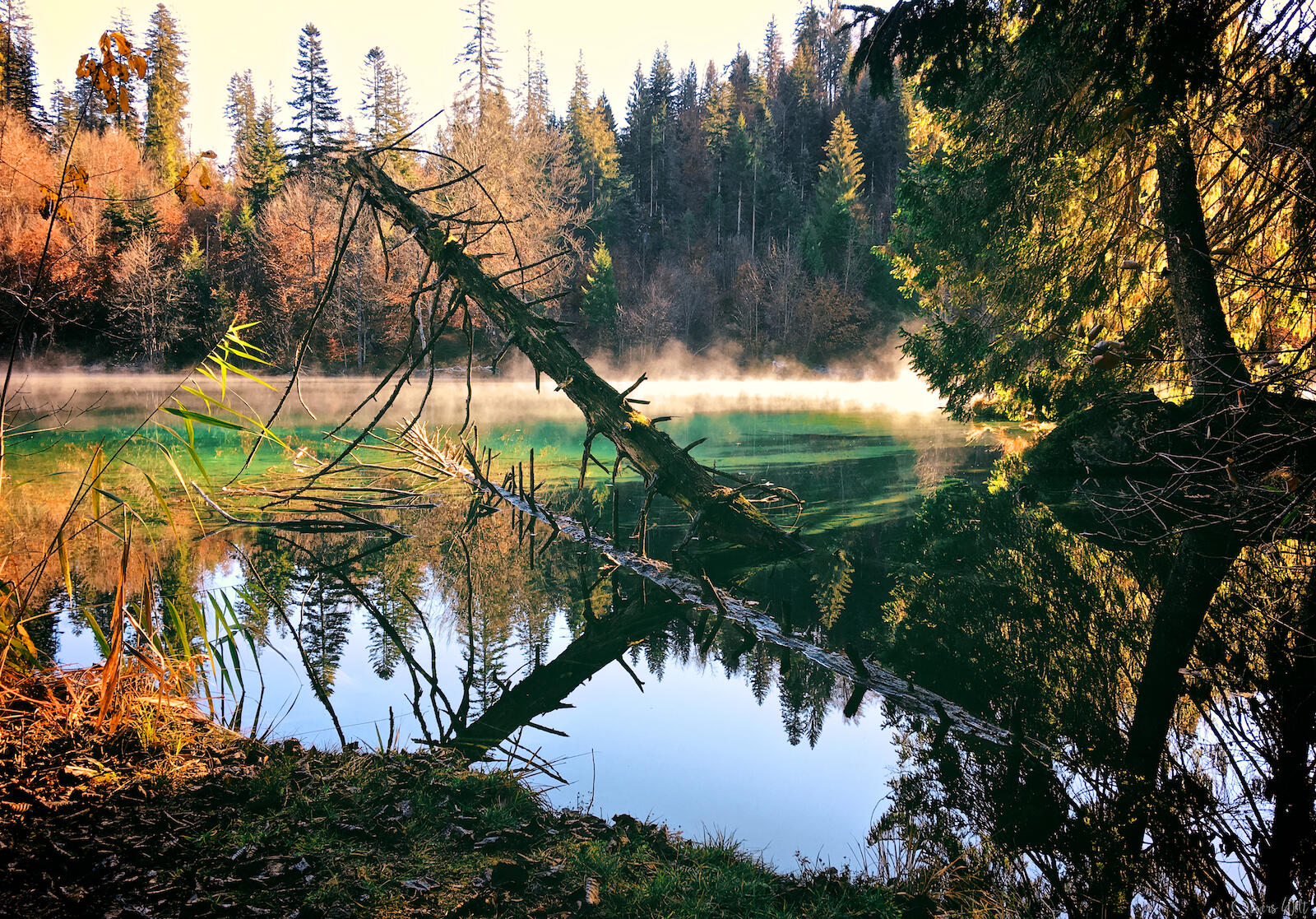 Bild ohne Beschreibung