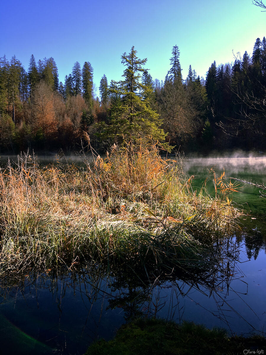 Bild ohne Beschreibung