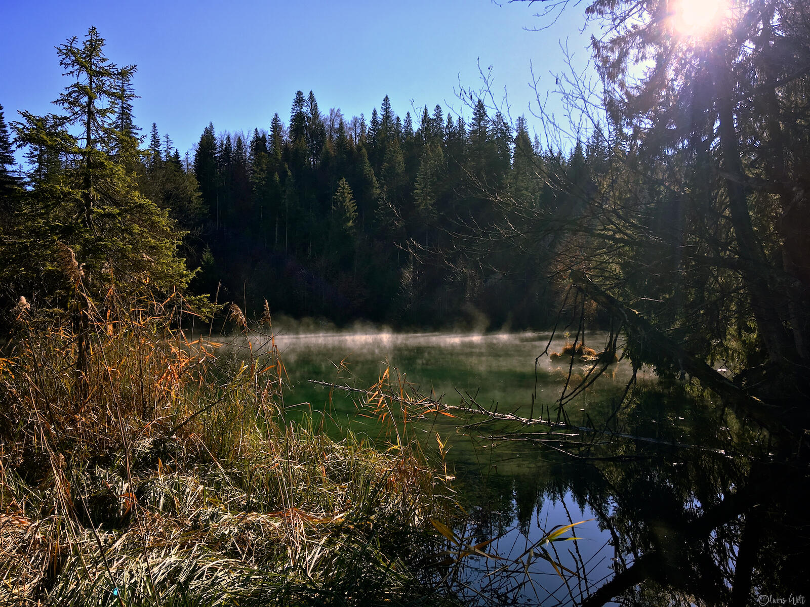 Bild ohne Beschreibung