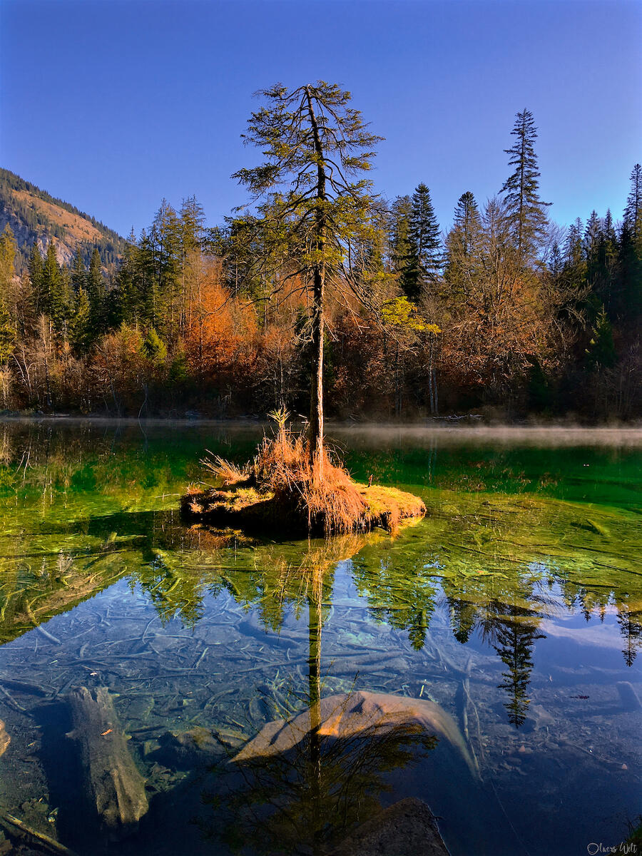 Bild ohne Beschreibung