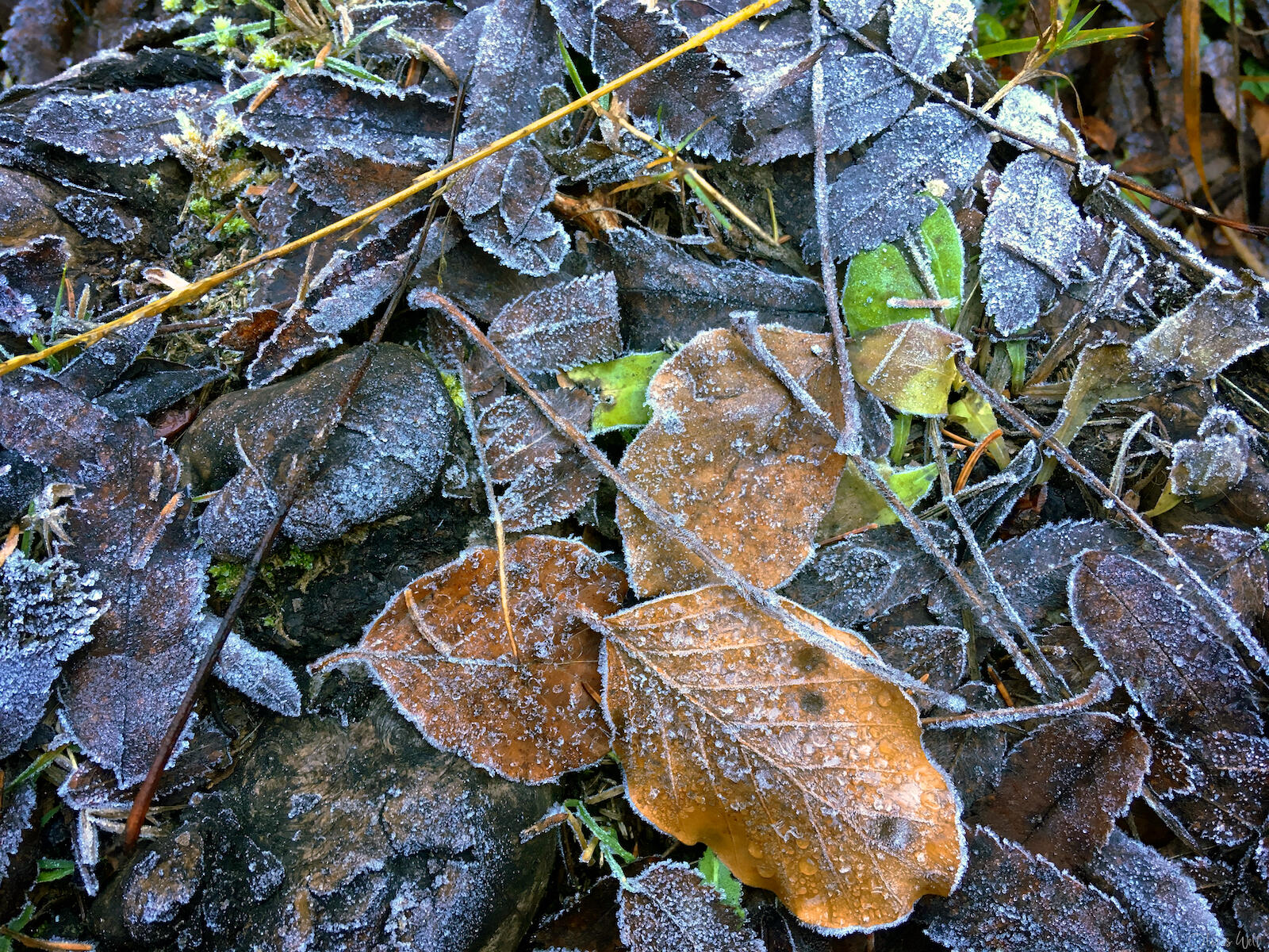 Bild ohne Beschreibung