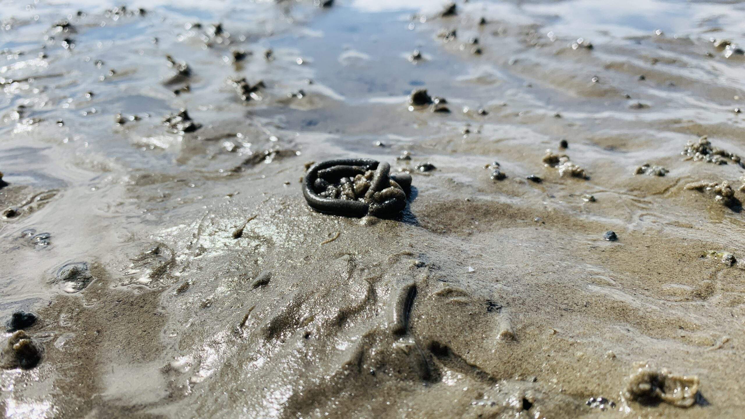 Bild ohne Beschreibung Bild ohne Beschreibung