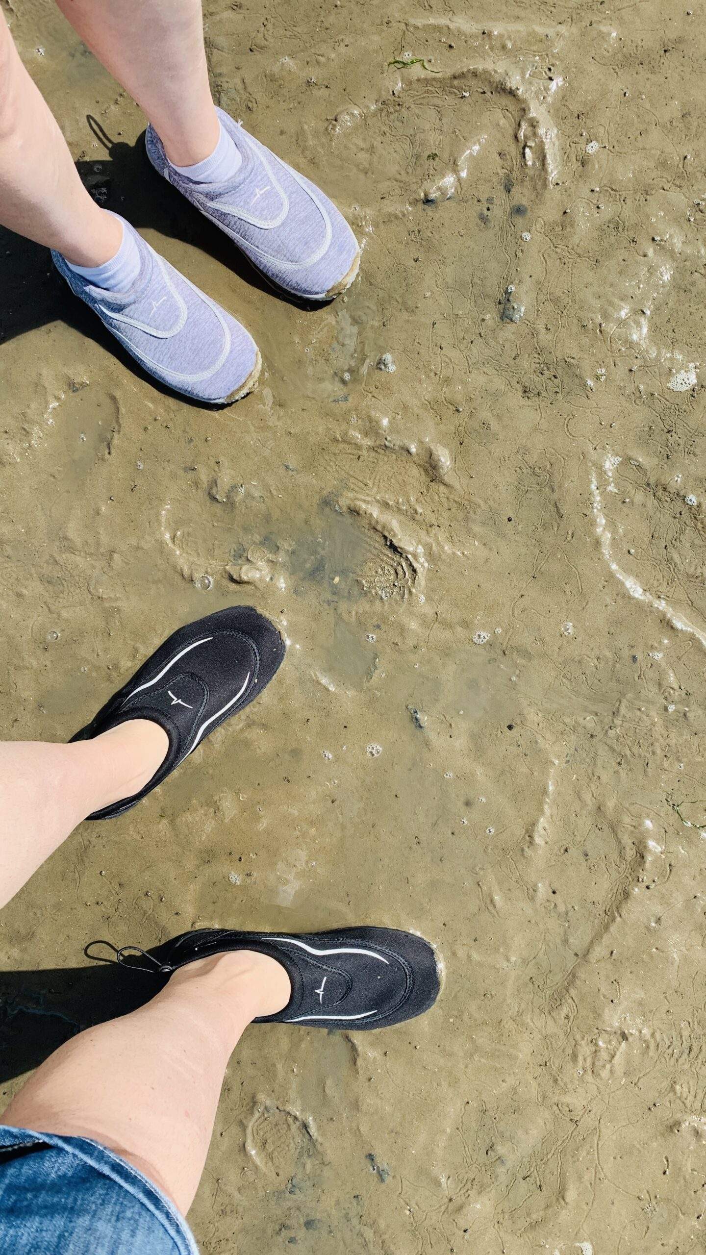 Bild ohne Beschreibung Bild ohne Beschreibung