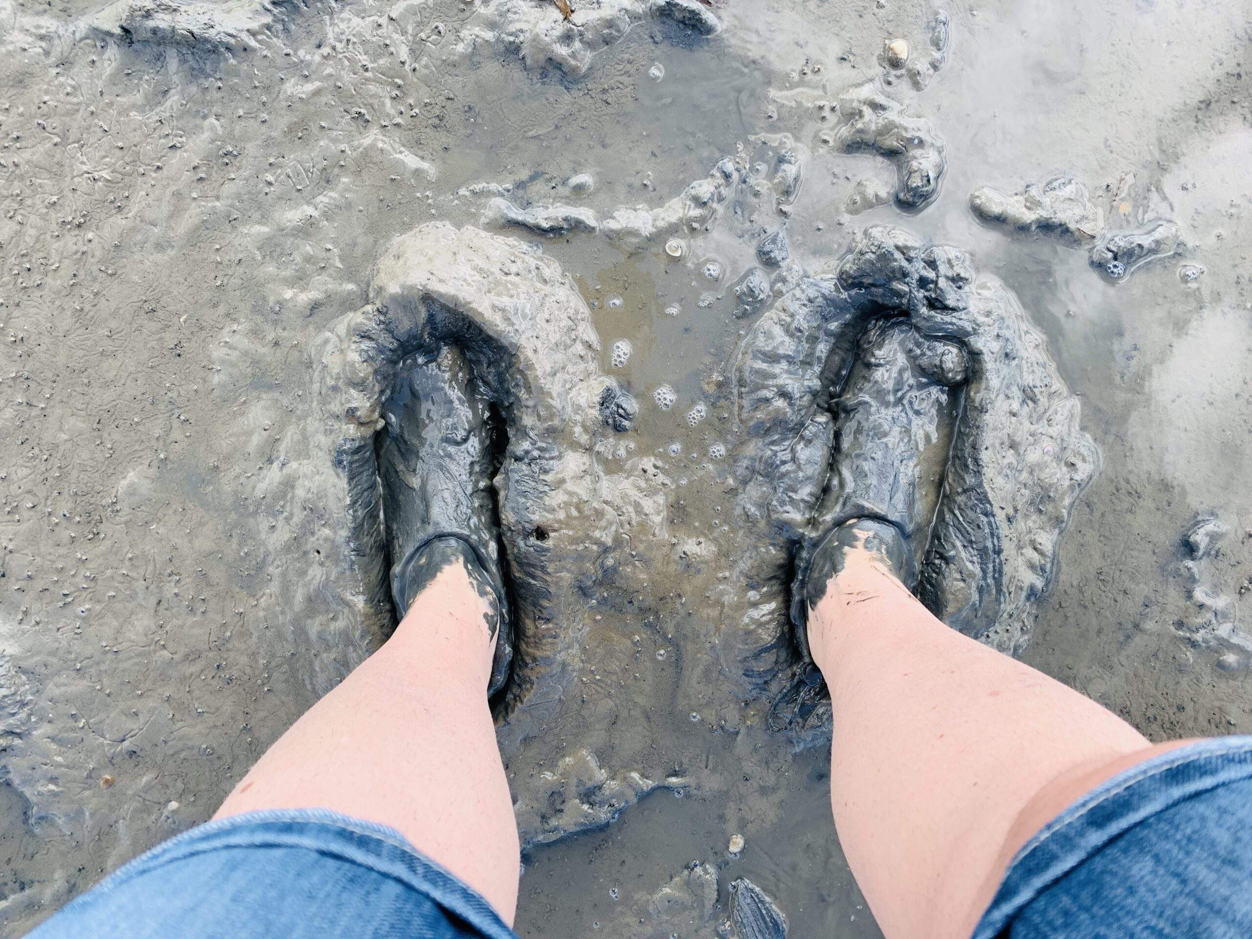 Bild ohne Beschreibung Bild ohne Beschreibung