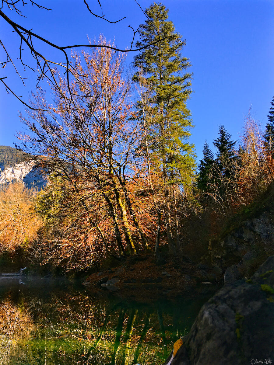 Bild ohne Beschreibung