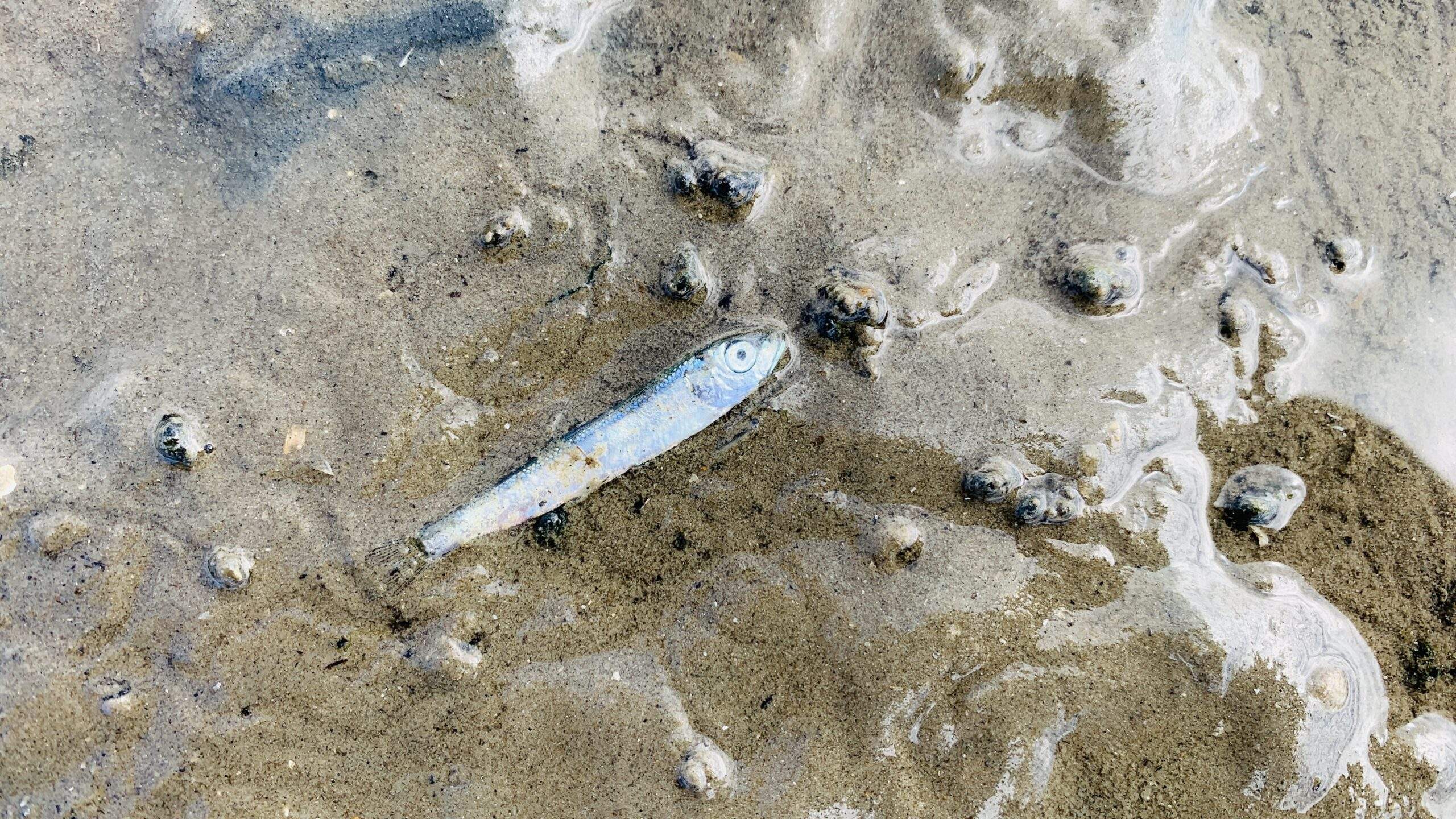 Bild ohne Beschreibung Bild ohne Beschreibung