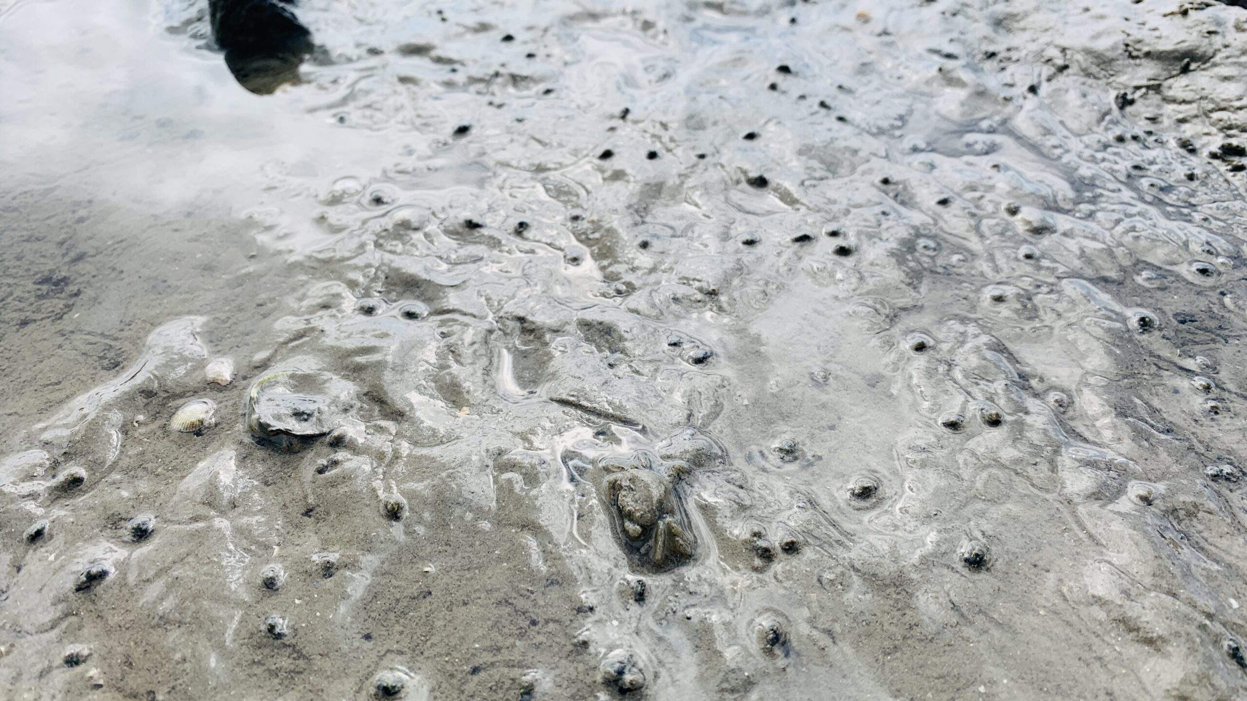 Bild ohne Beschreibung Bild ohne Beschreibung