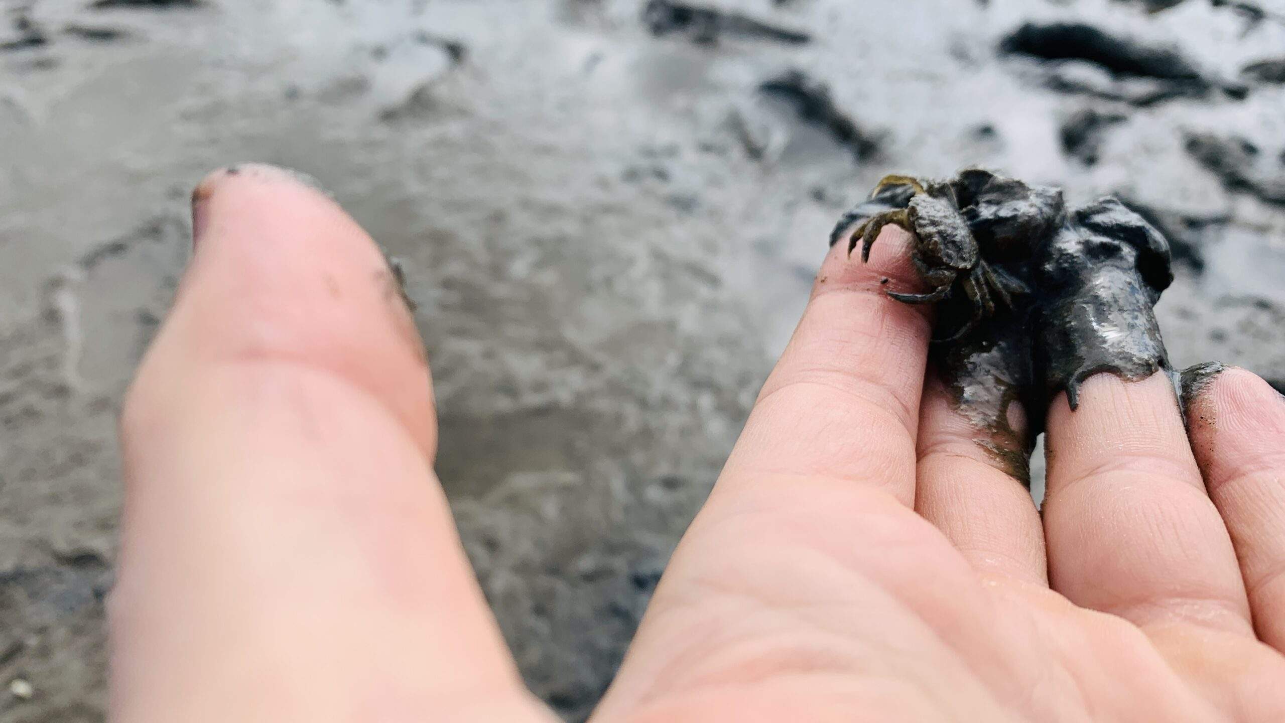 Bild ohne Beschreibung Bild ohne Beschreibung