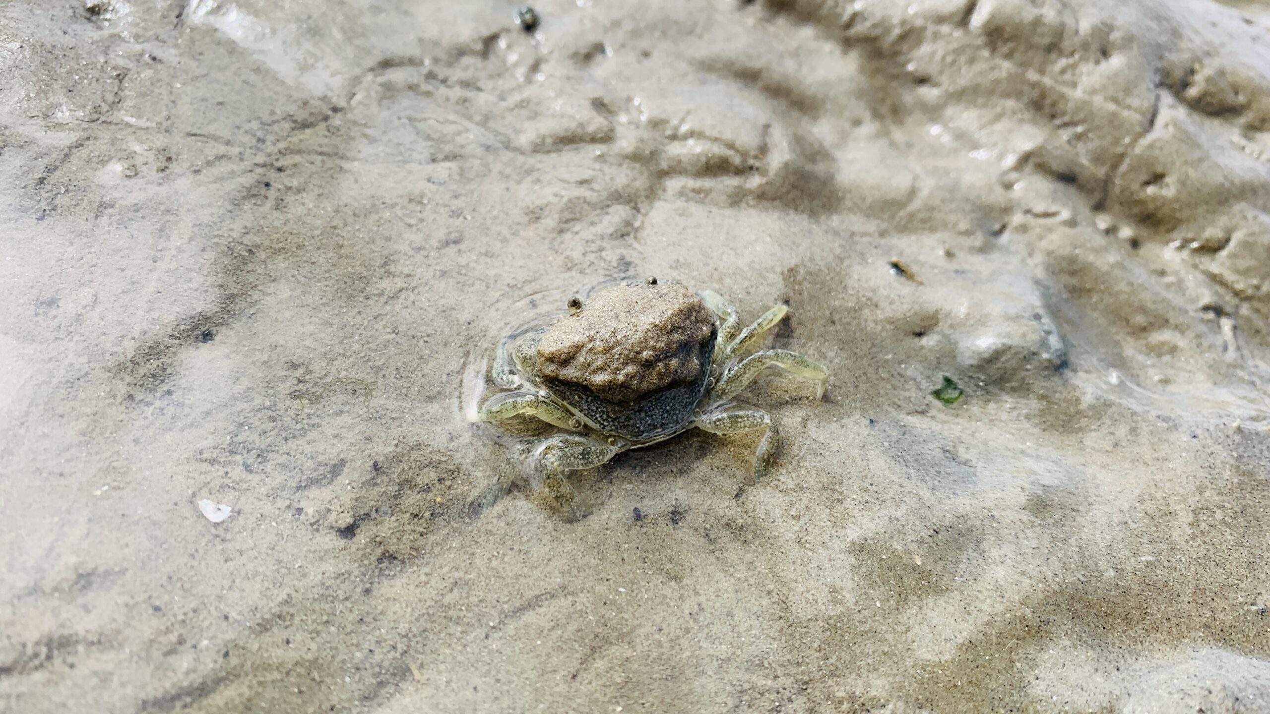 Bild ohne Beschreibung Bild ohne Beschreibung