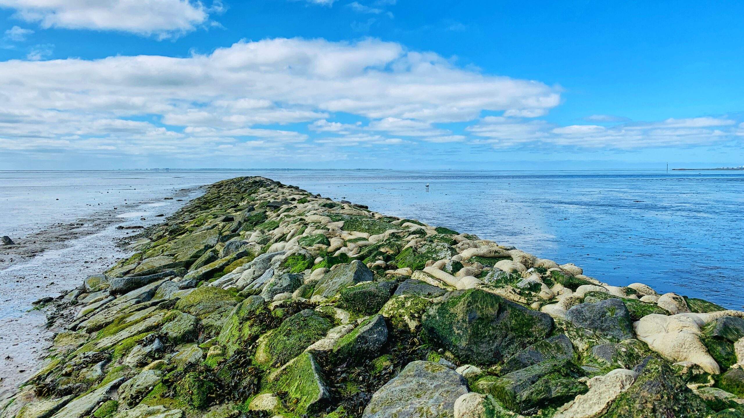 Bild ohne Beschreibung Bild ohne Beschreibung