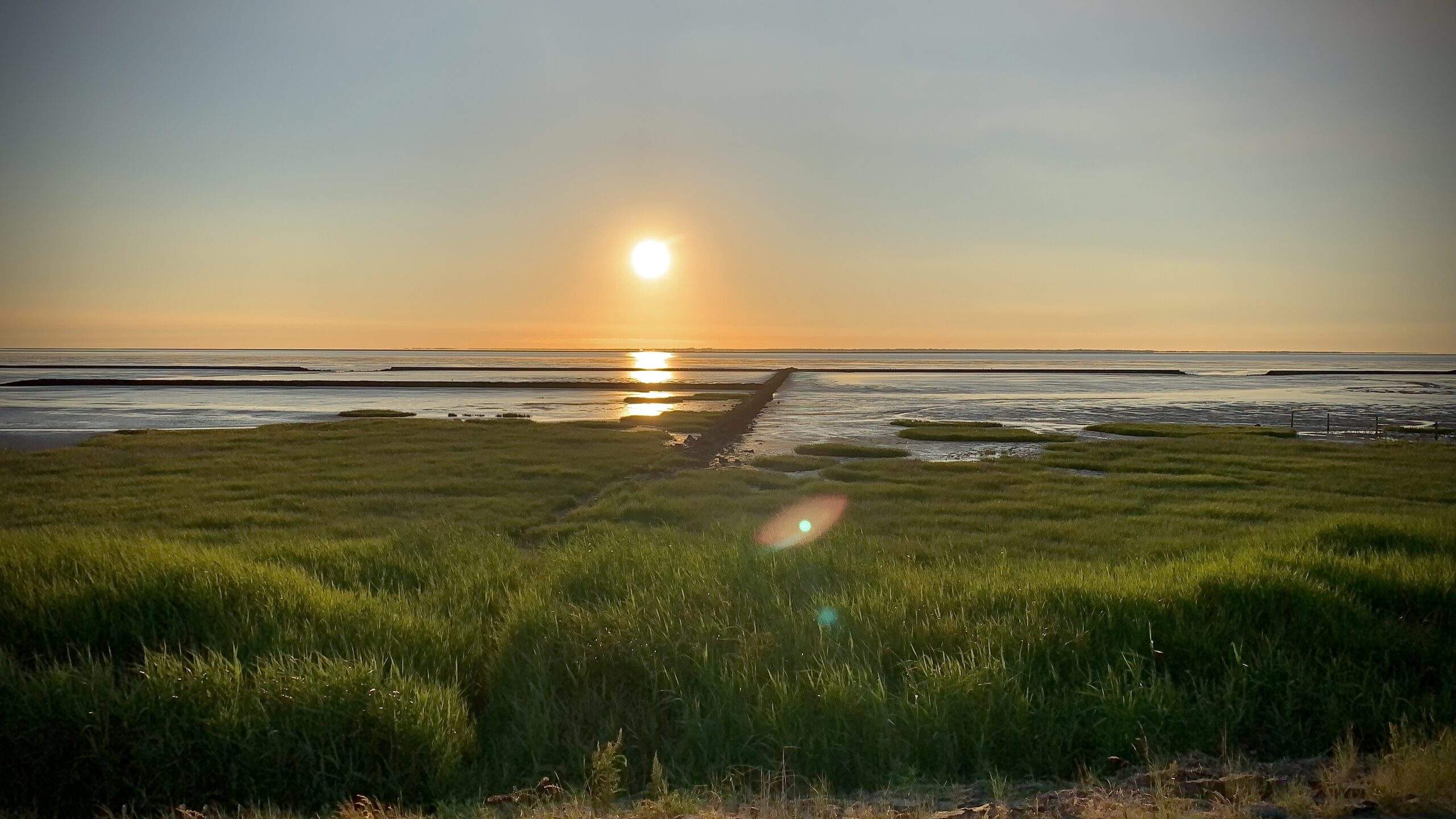 Bild ohne Beschreibung Bild ohne Beschreibung