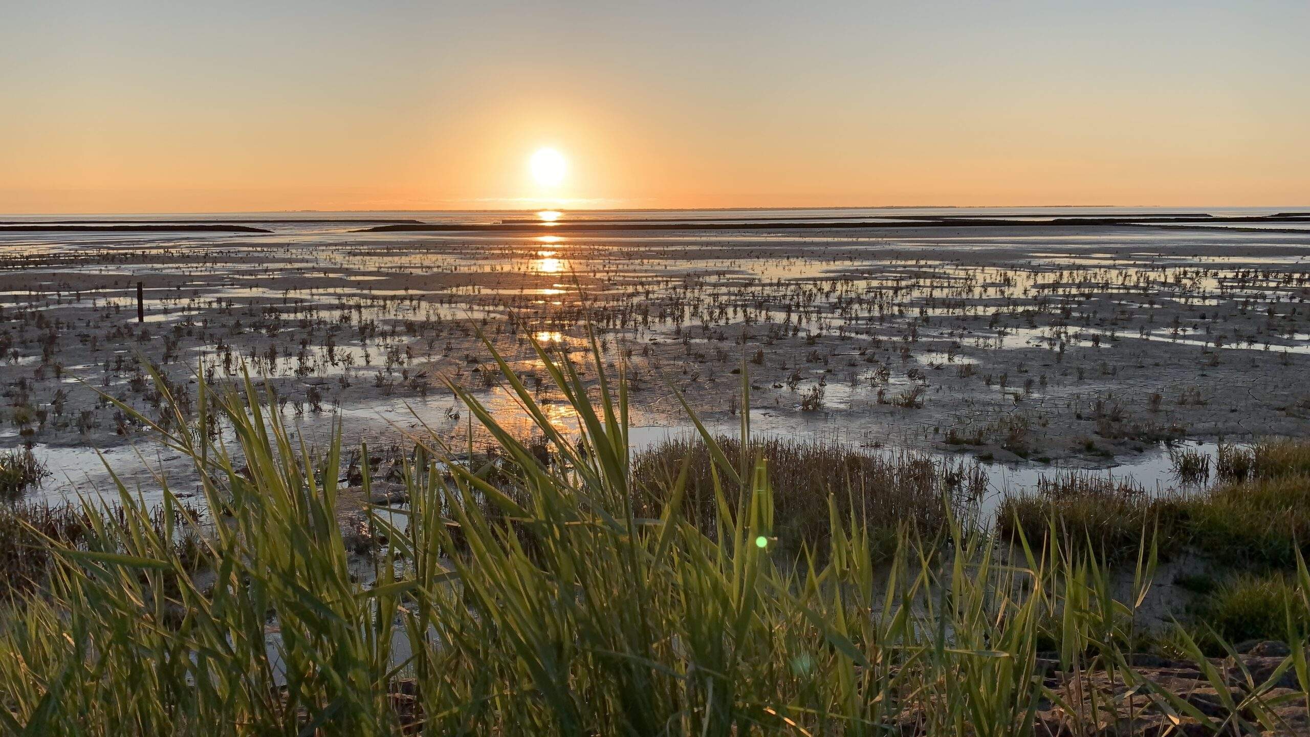 Bild ohne Beschreibung Bild ohne Beschreibung