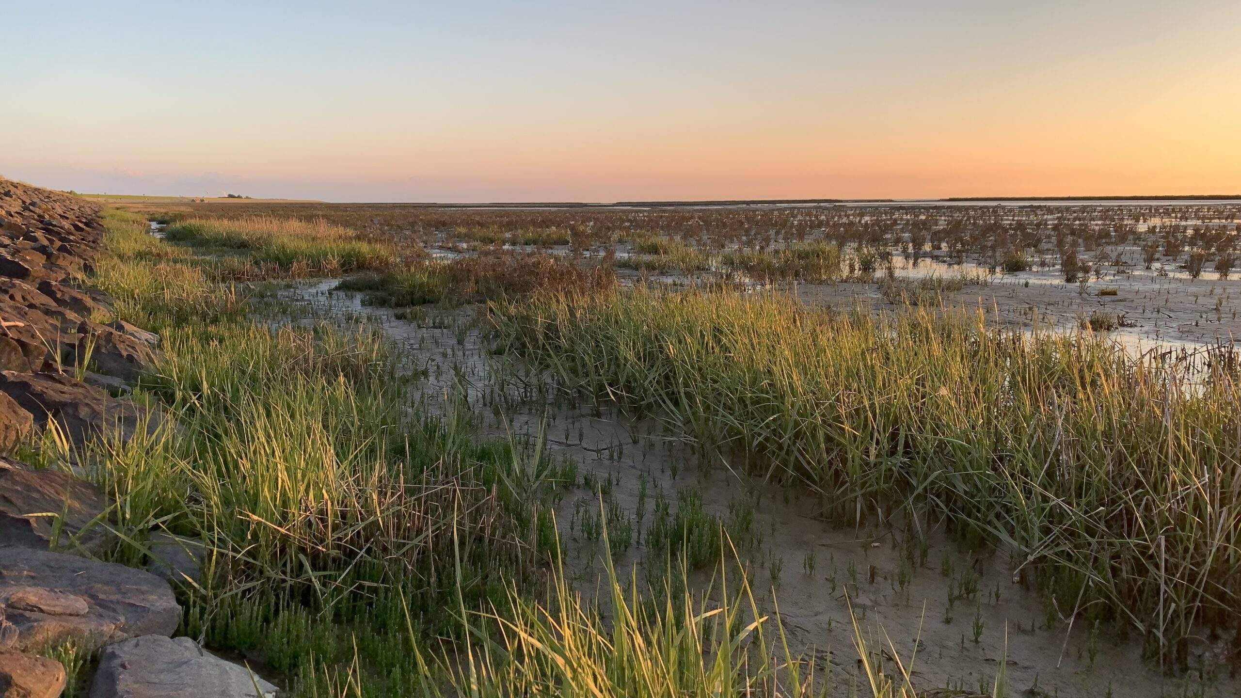 Bild ohne Beschreibung Bild ohne Beschreibung